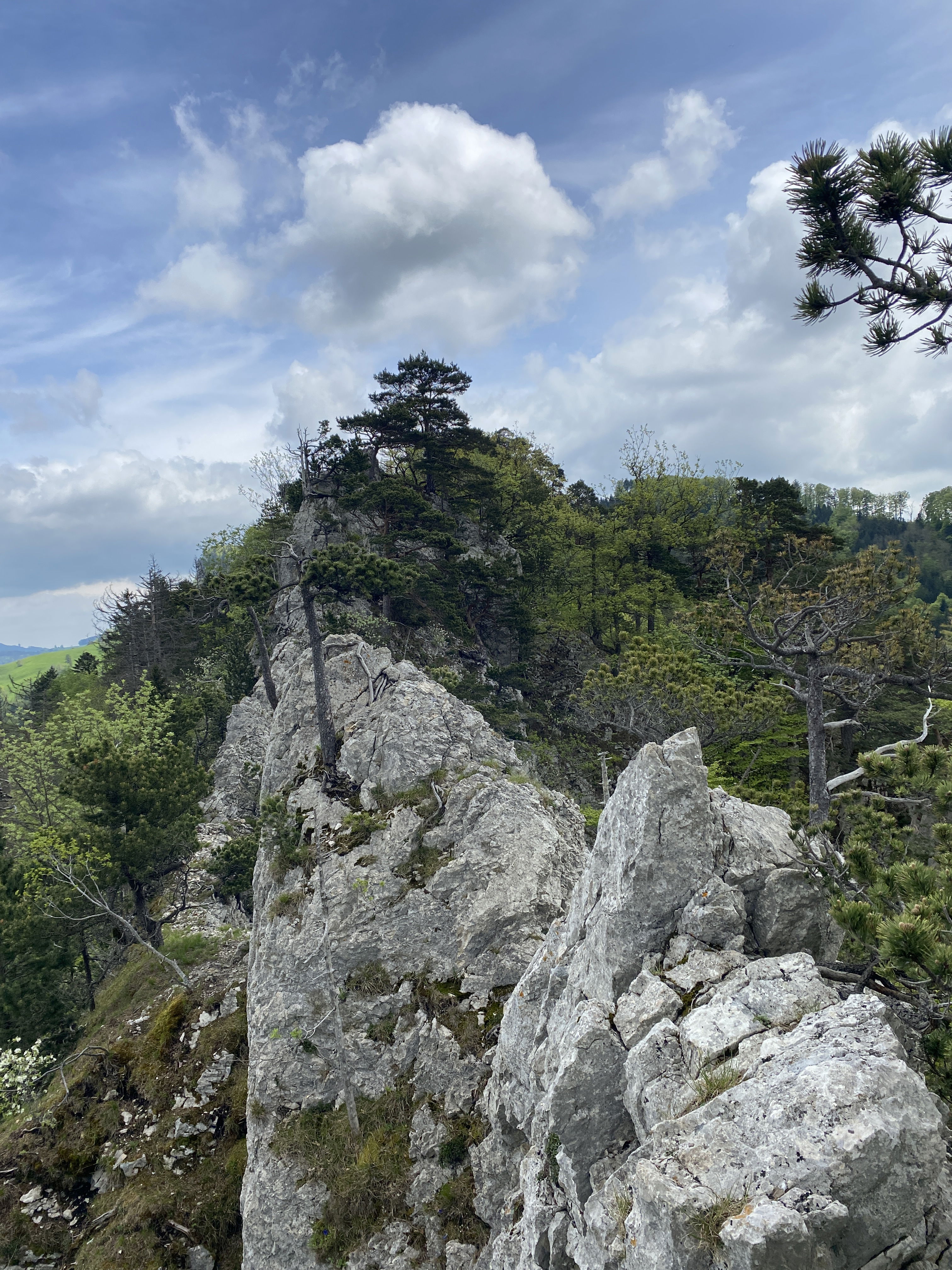 refresher hochtouren