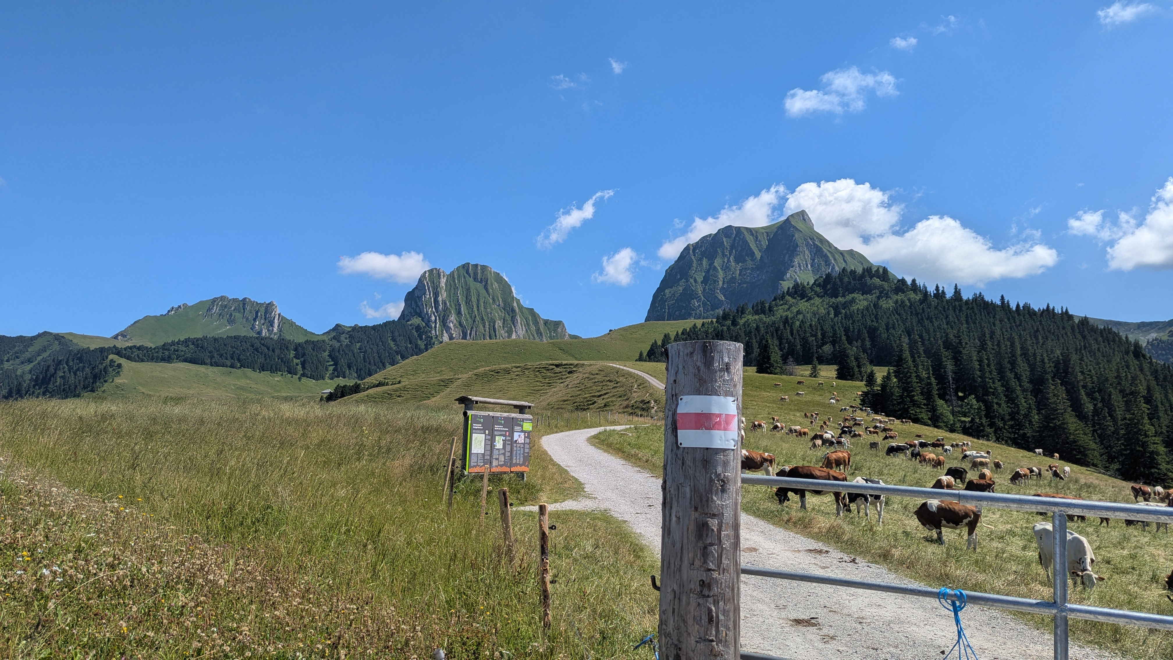 Gemschgrätli