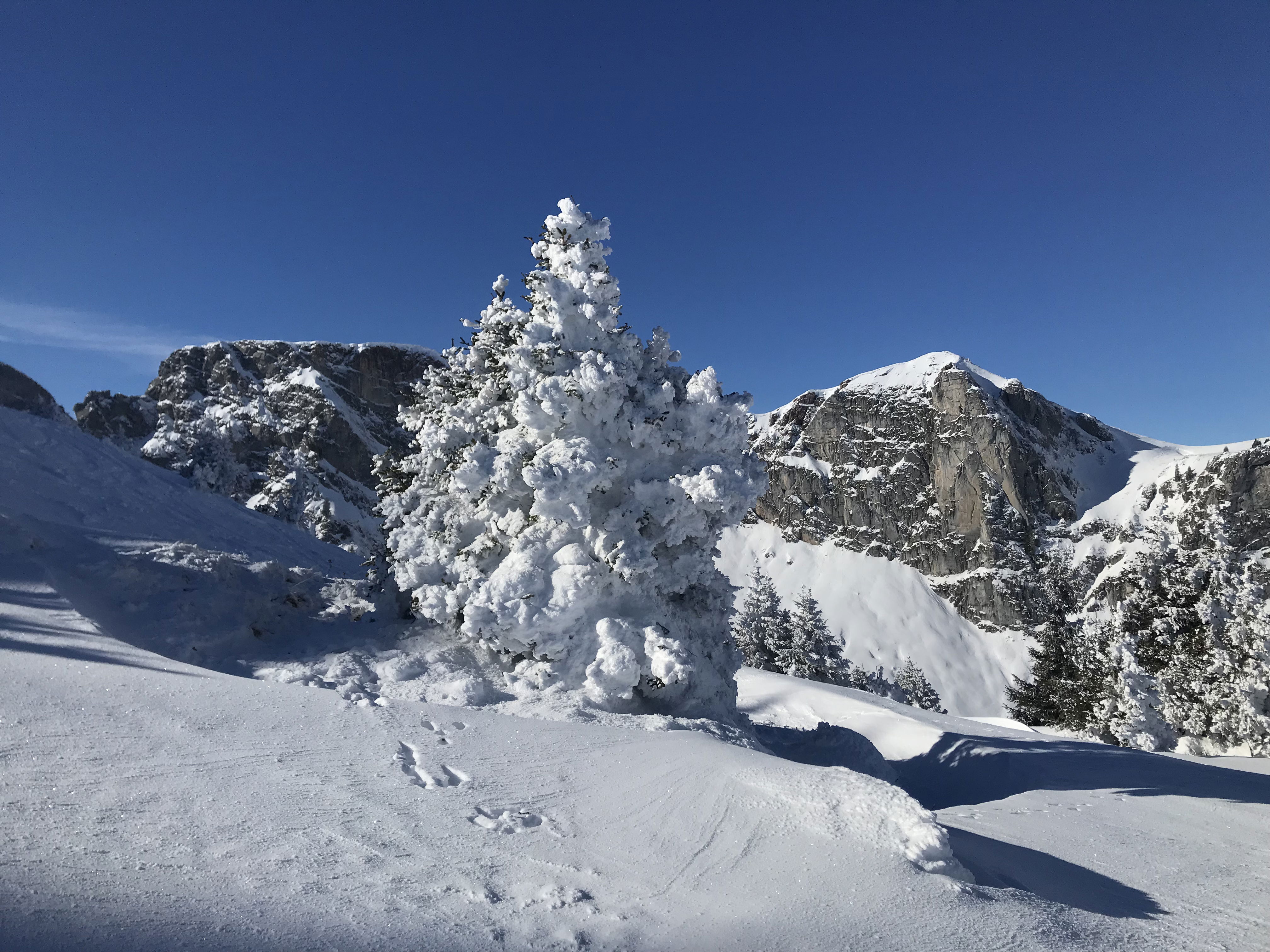 Einführungskurs mit Ski