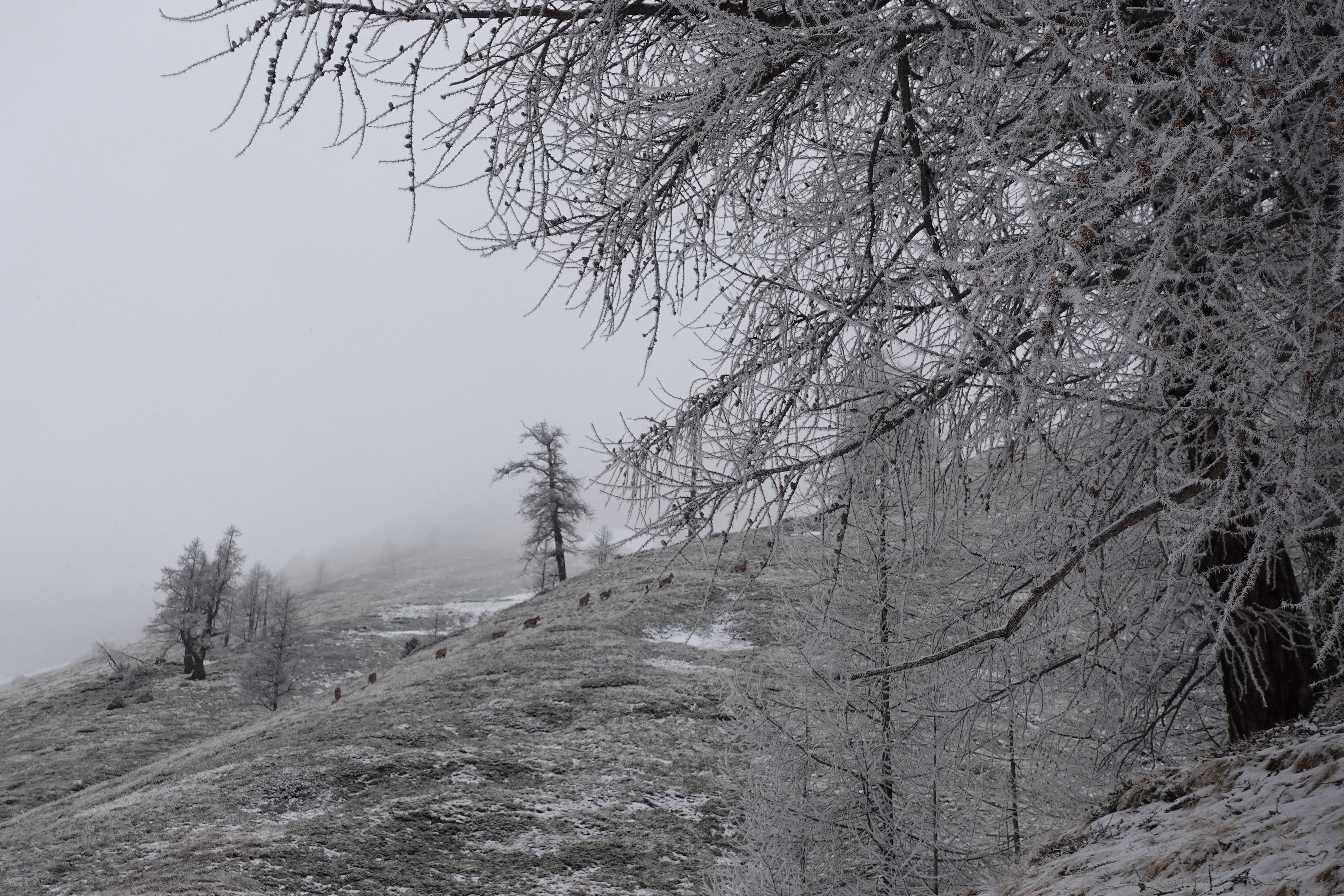 TransalpSchweiz 2. Etappe