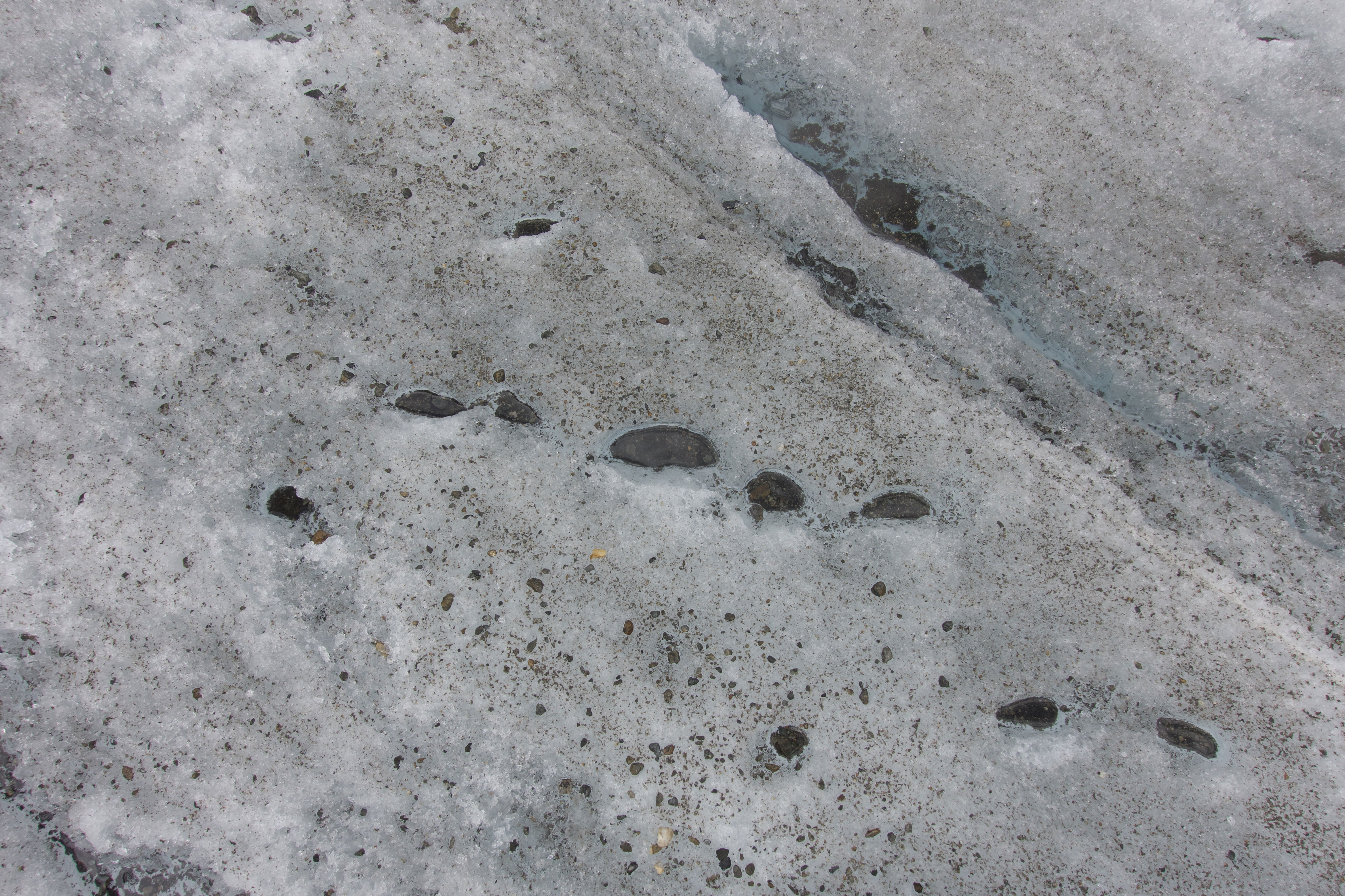 Erlebnis "Eiszeit"