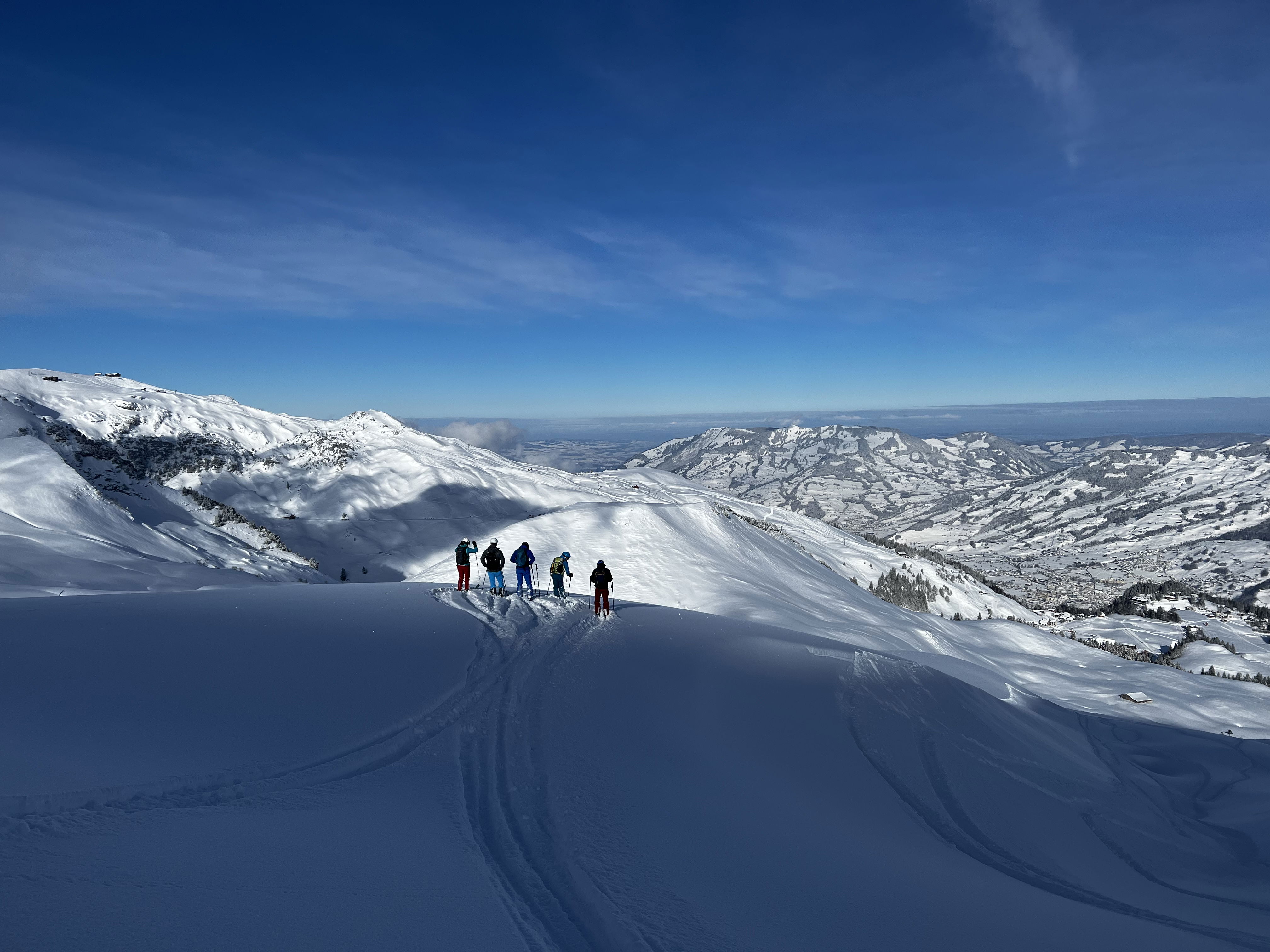 Powdermonday