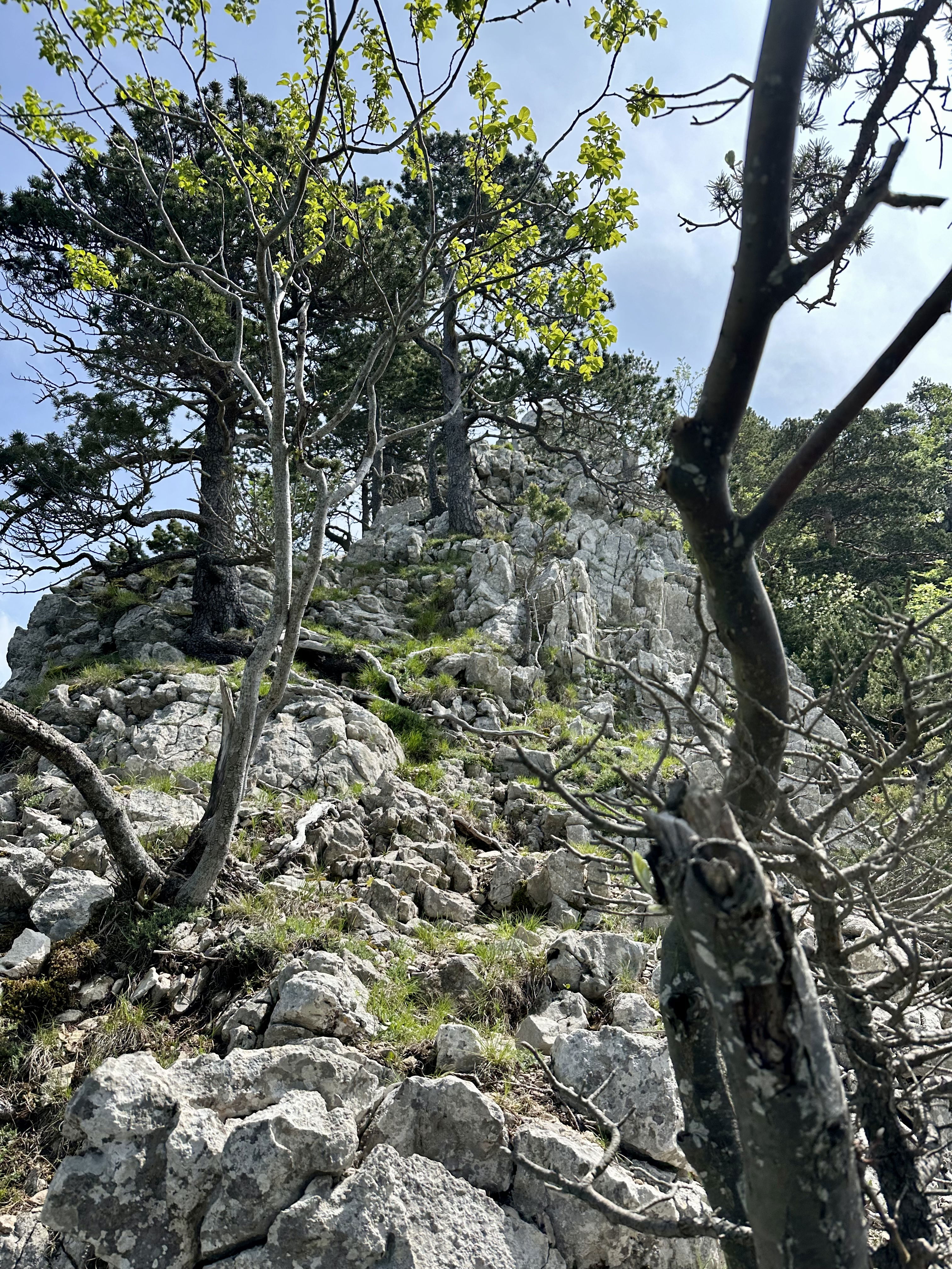 refresher hochtouren