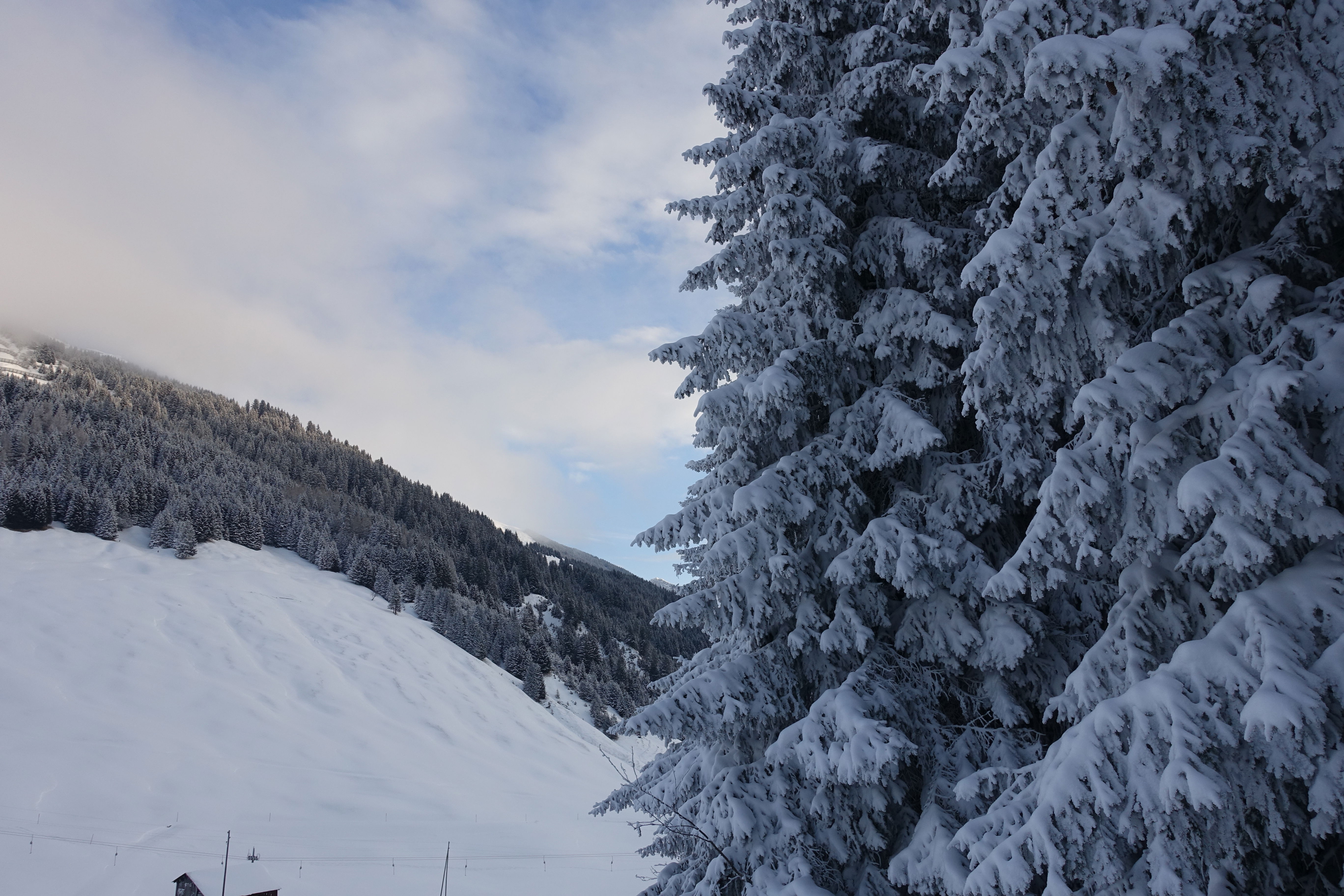 Schnuppertour mit Ski