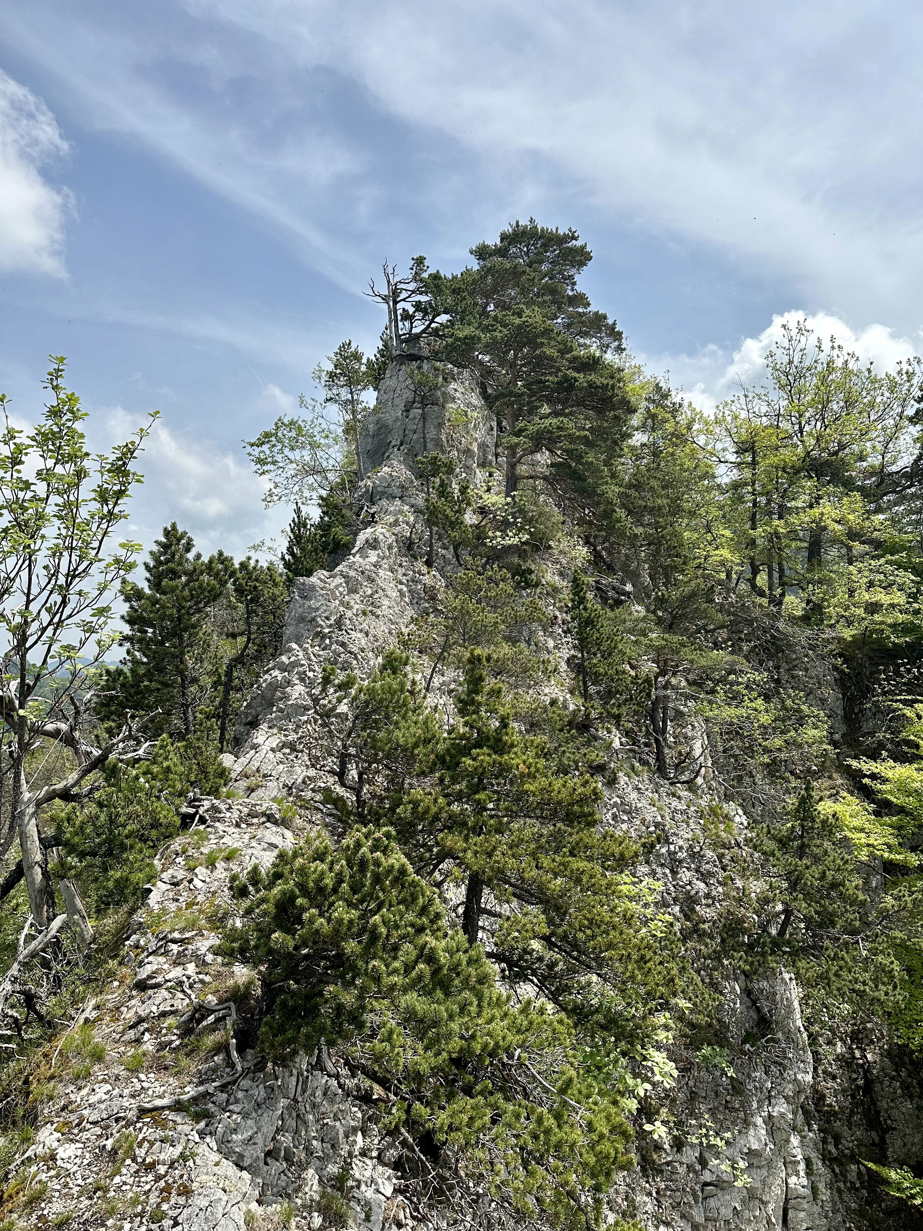 refresher hochtouren