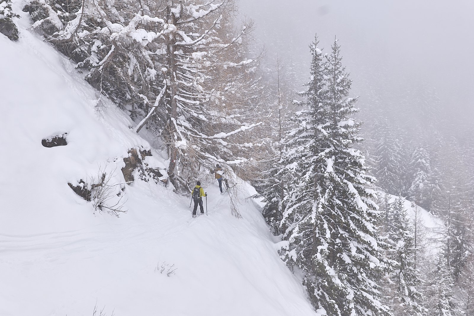 Waldabfahrt – Achtung dies ist keine Skitourenroute