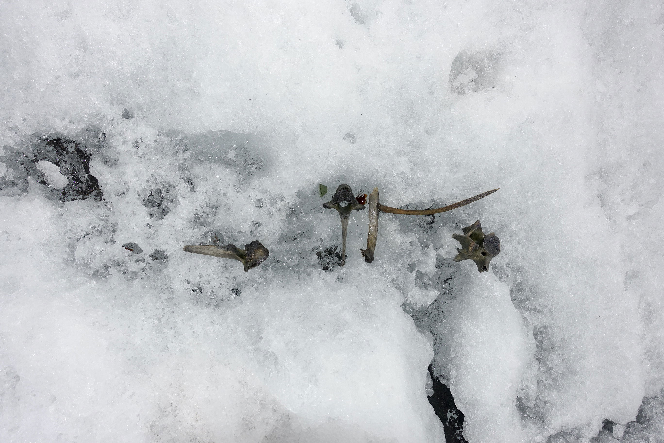 Erlebnis "Eiszeit"