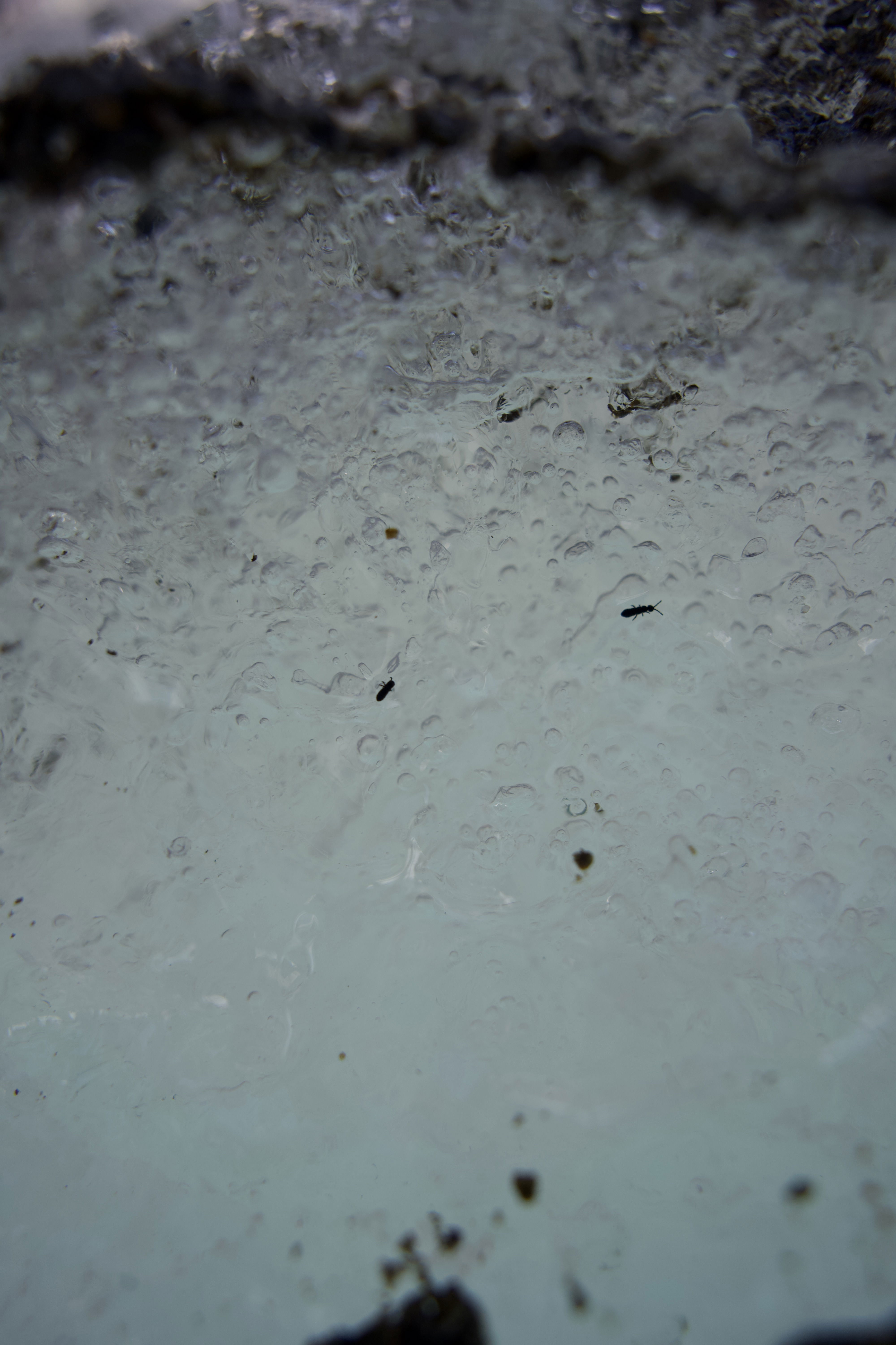 Erlebnis "Eiszeit"