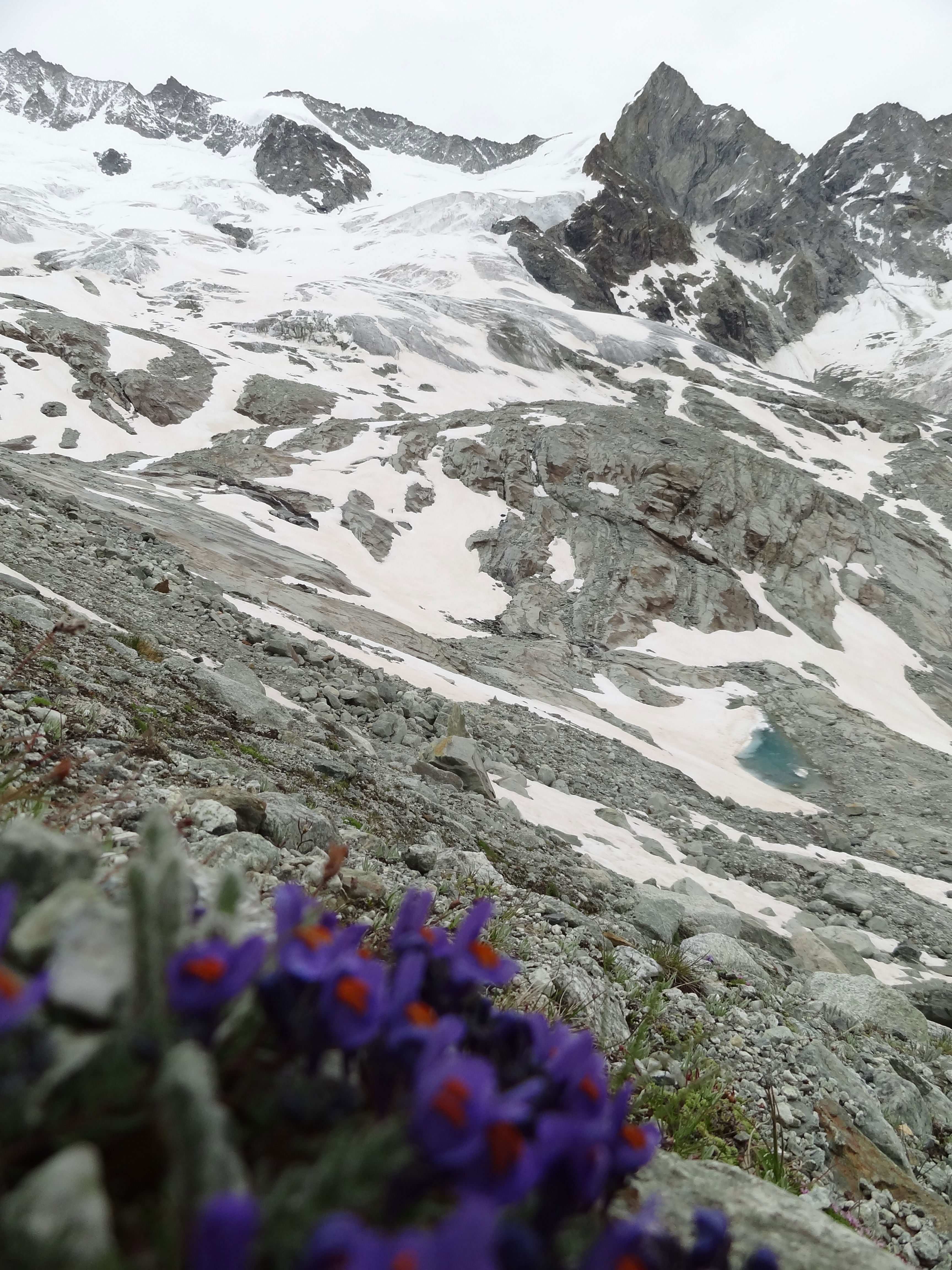 https://bergpunkt.b-cdn.net/dsc07745-60f70c7034a4c460338829.jpg