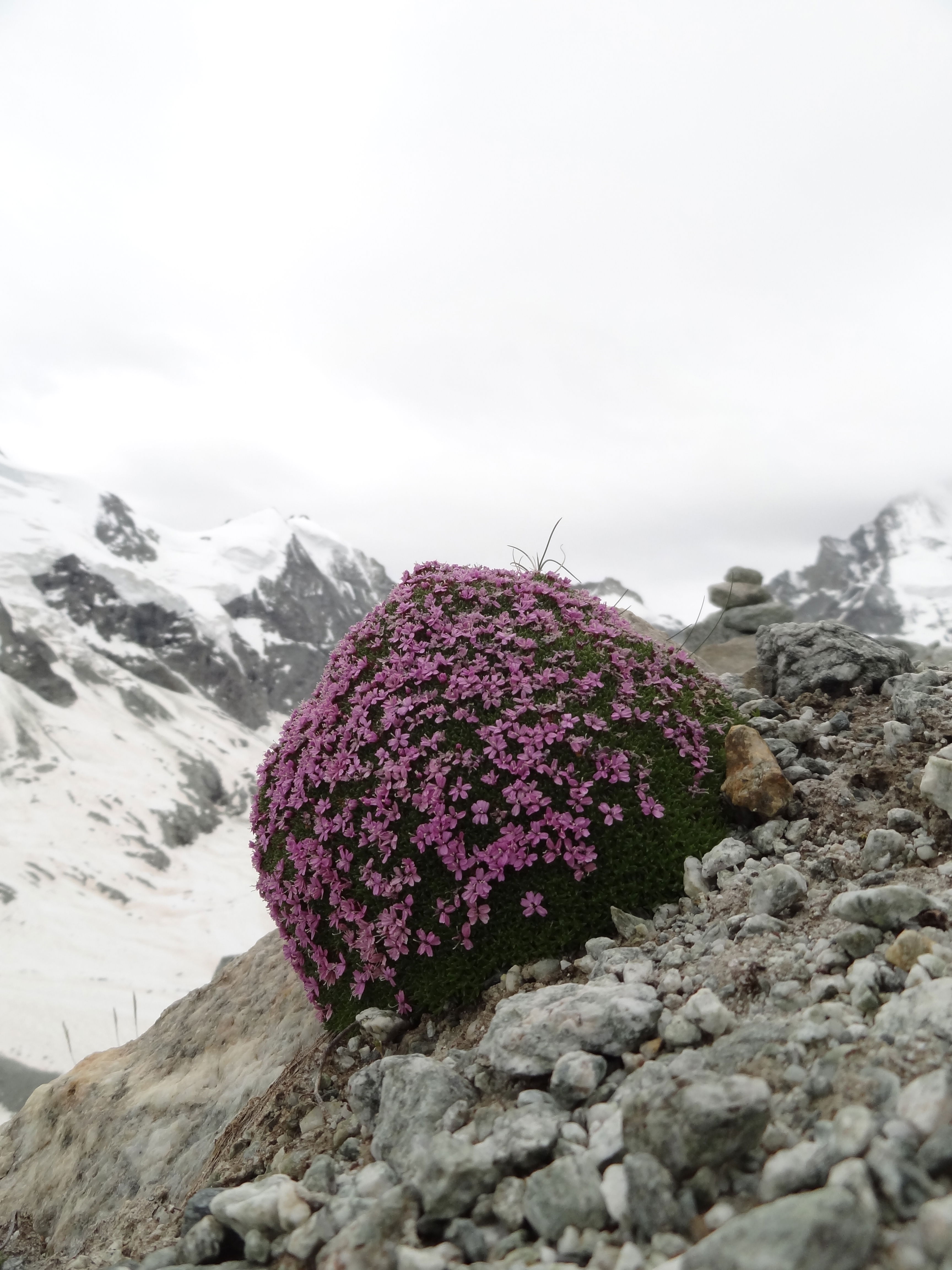 https://bergpunkt.b-cdn.net/dsc07746-60f70c55ed660217027876.jpg