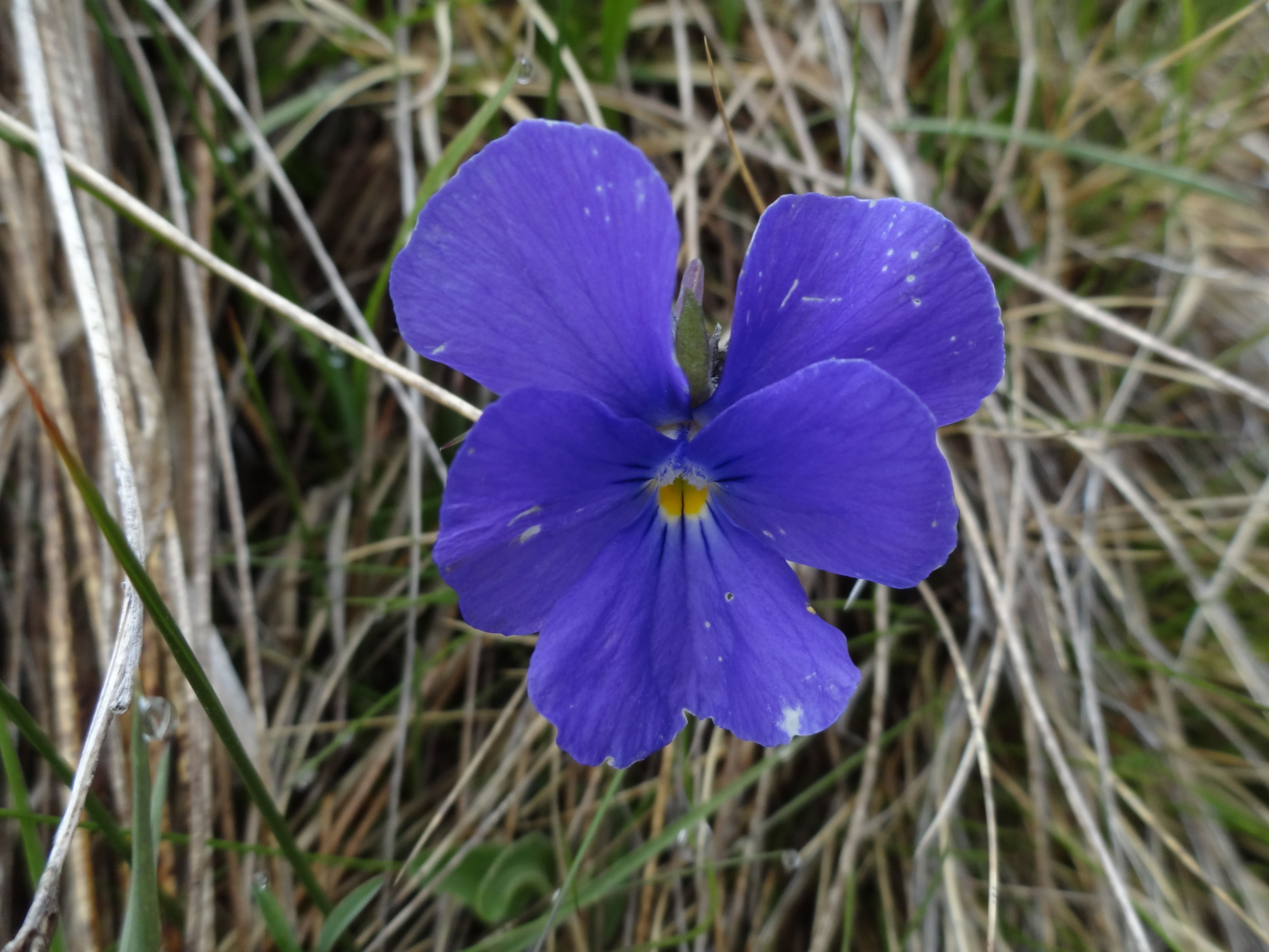 https://bergpunkt.b-cdn.net/dsc07800-60f70c622ca5a181335831.jpg