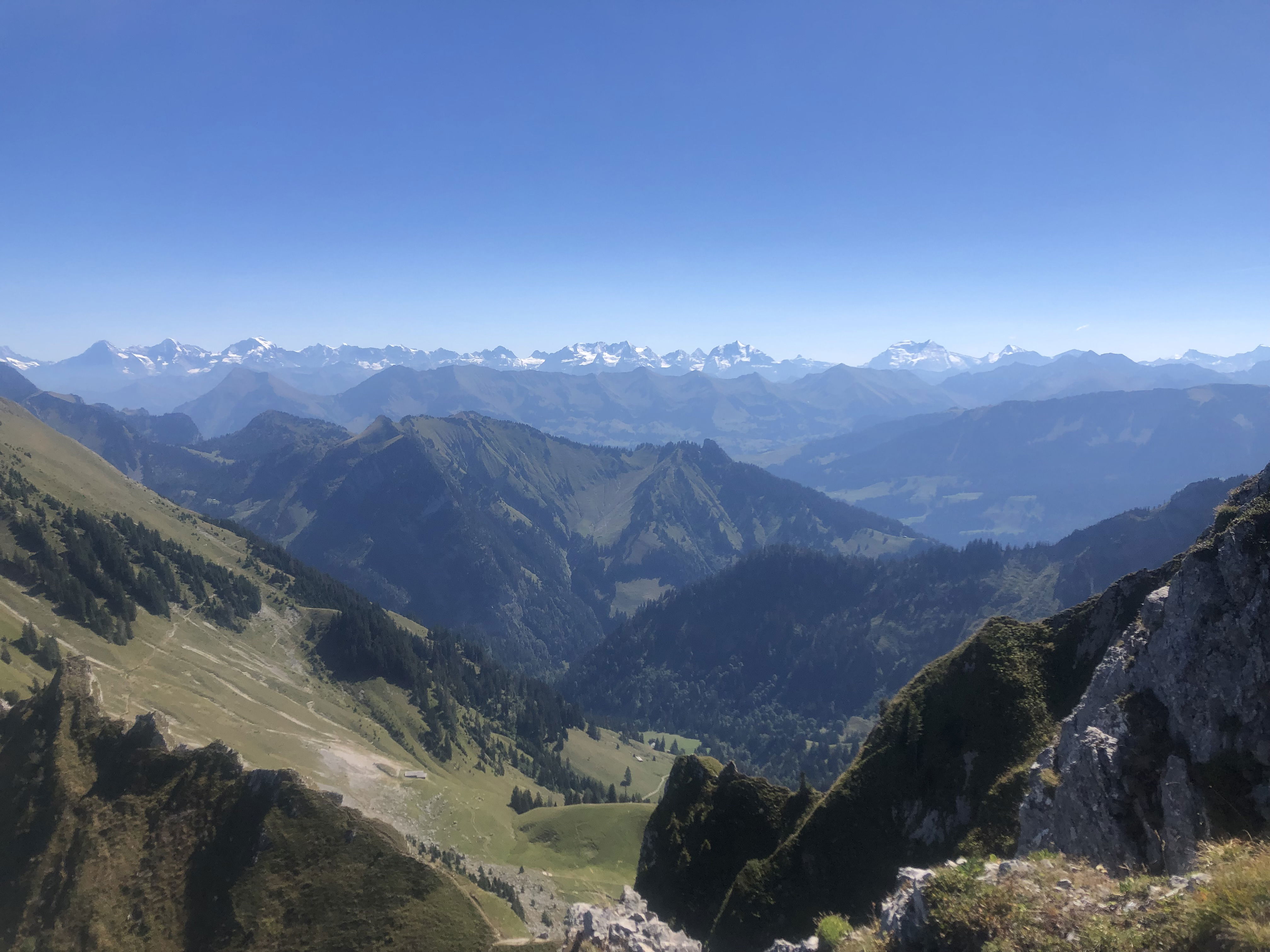 Gemschgrätli