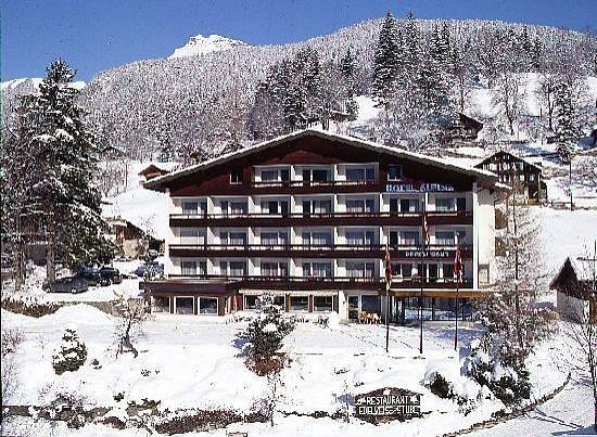 https://bergpunkt.b-cdn.net/hotel-alpina-grindelwald-6188e66cbb08e756399714.jpg