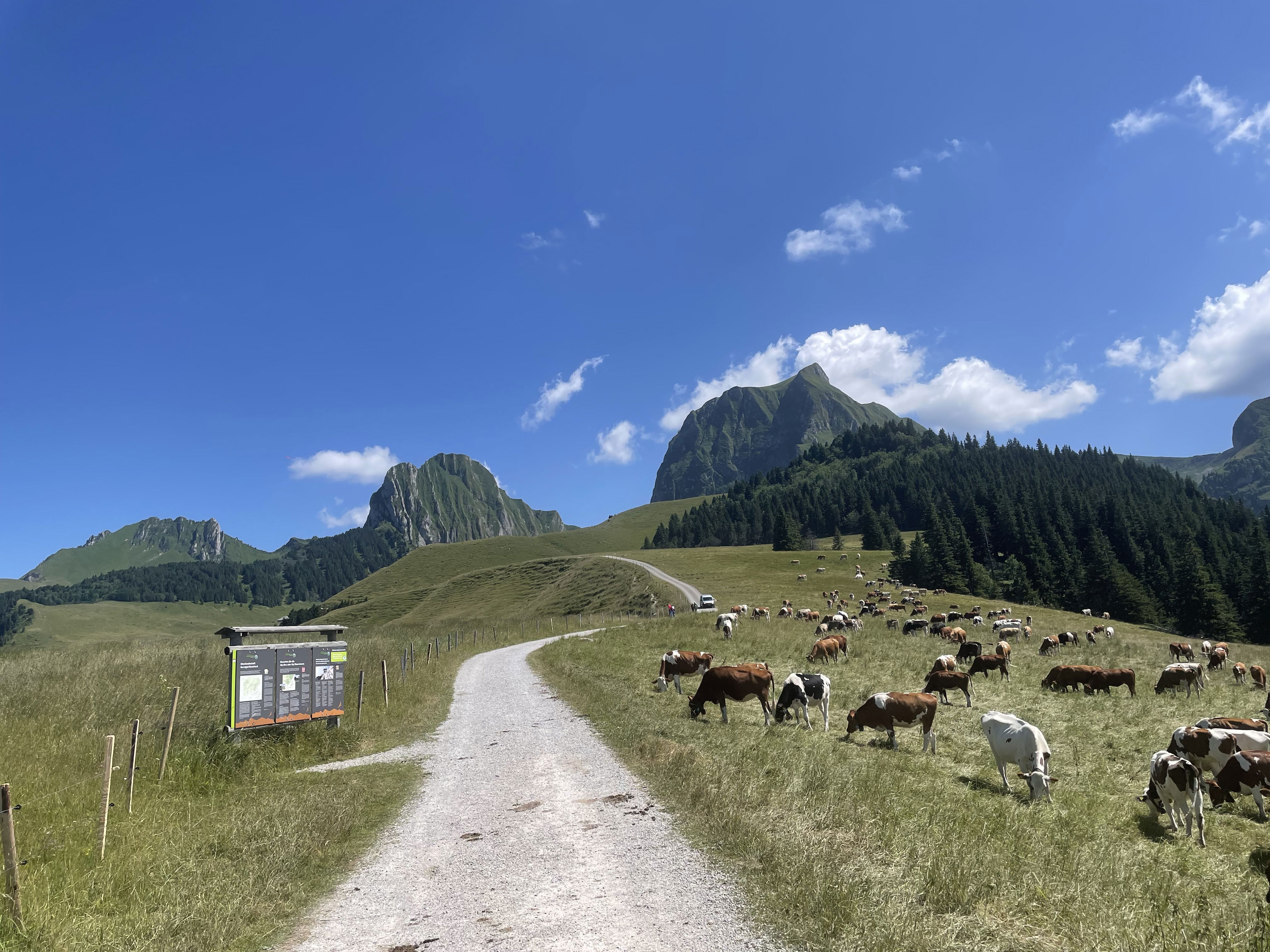 Gemschgrätli