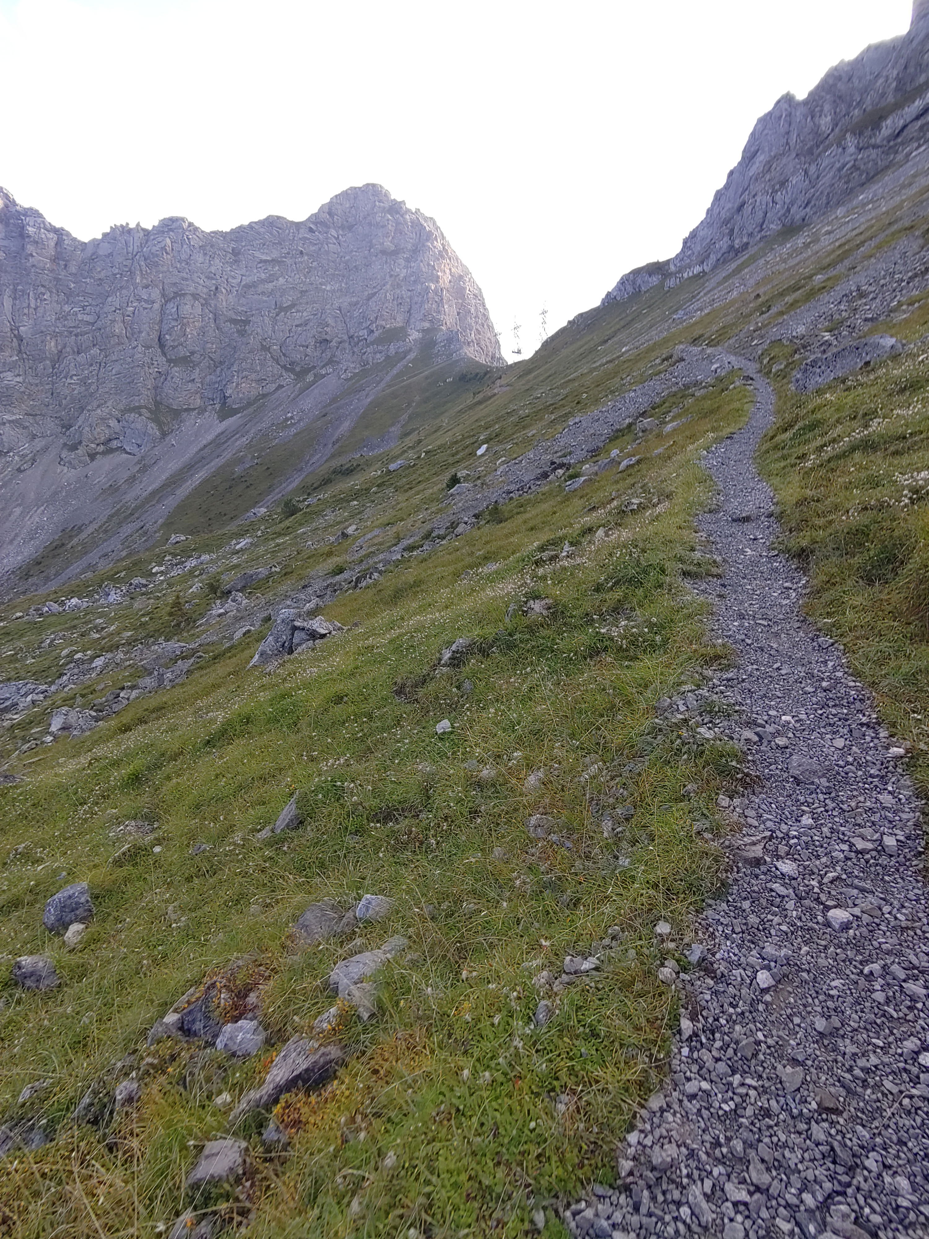 Chringenkante Rossfluh