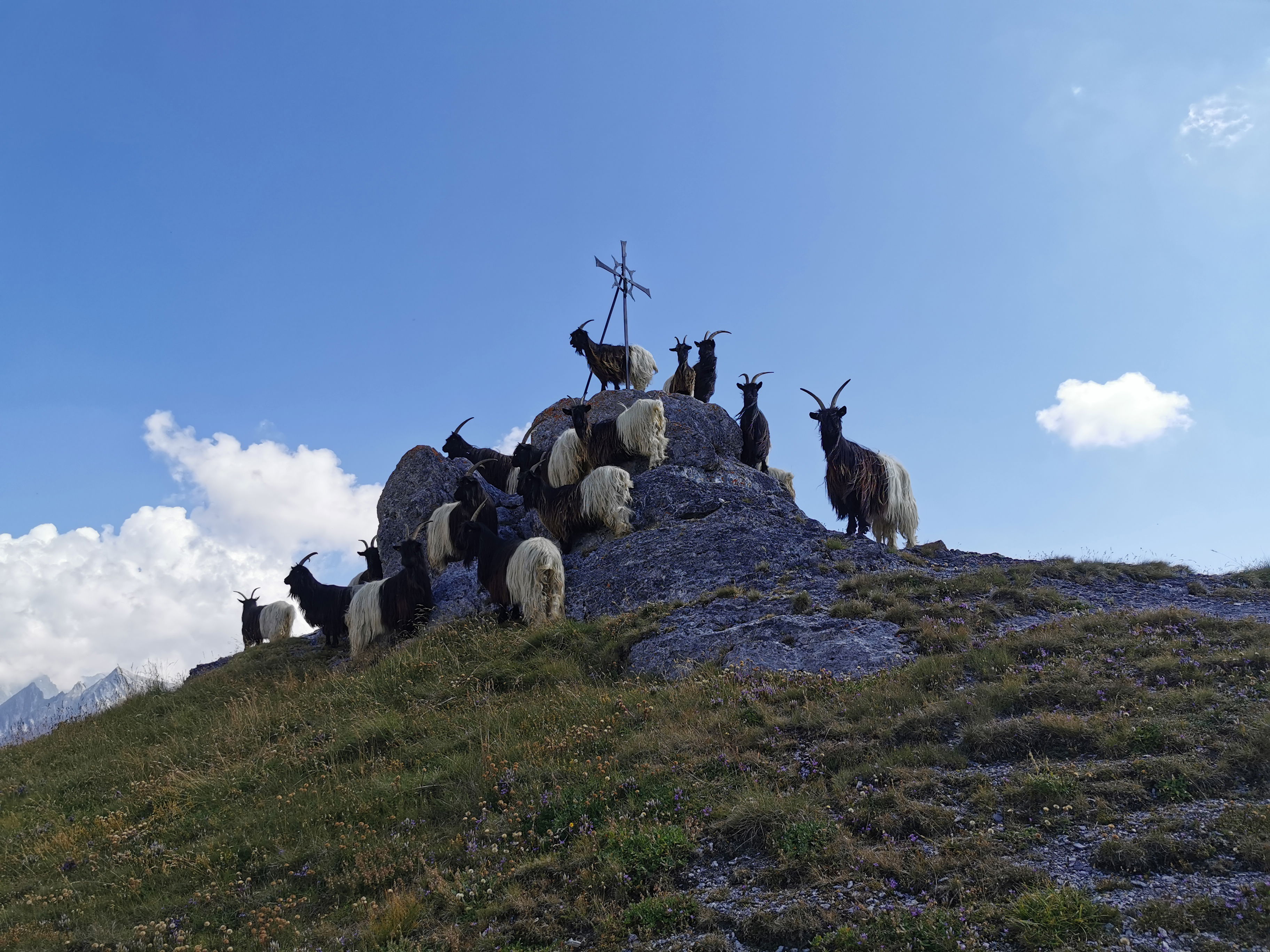 Einführung Mehrseillängenrouten