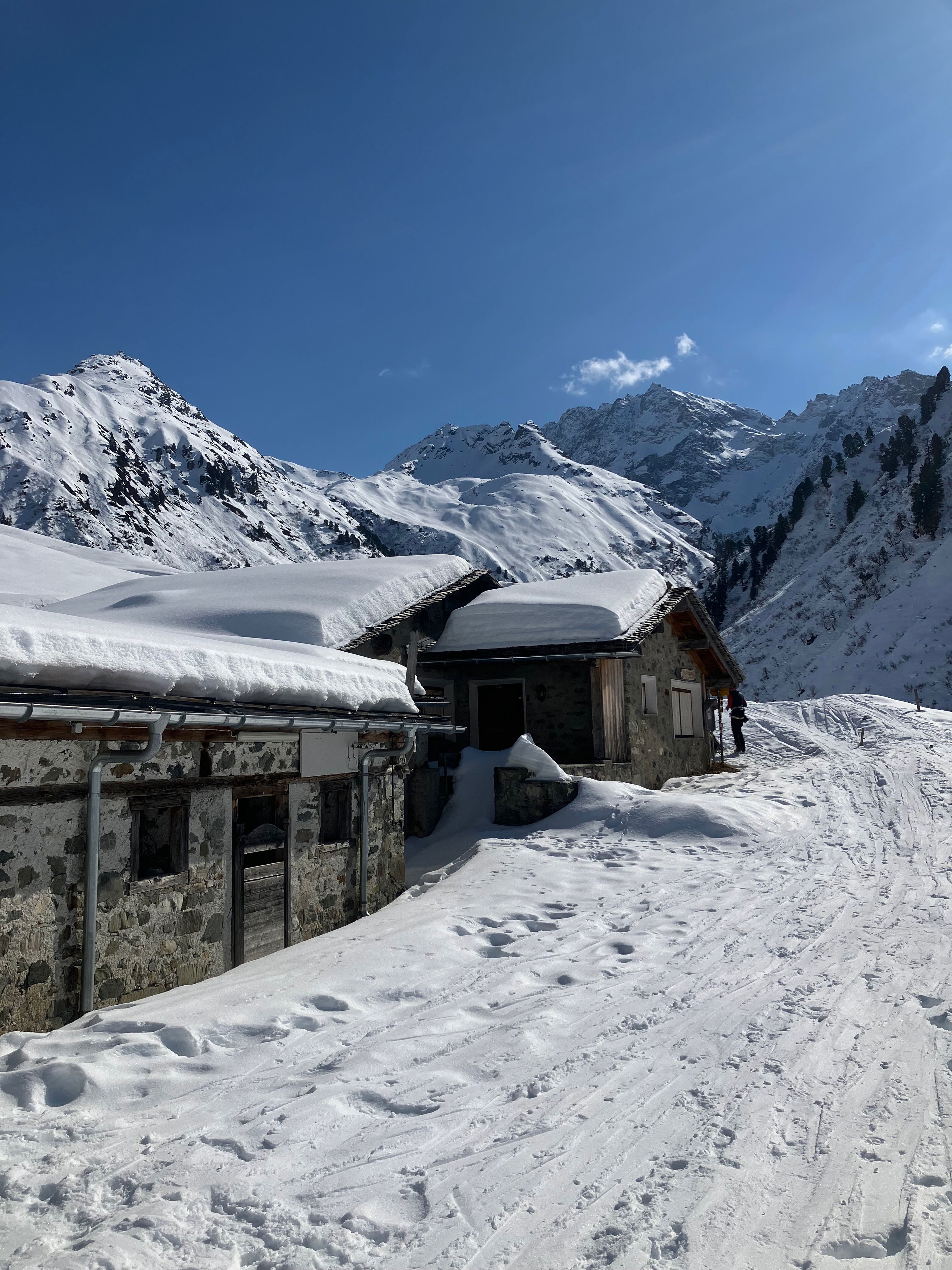 Alp Sardasca