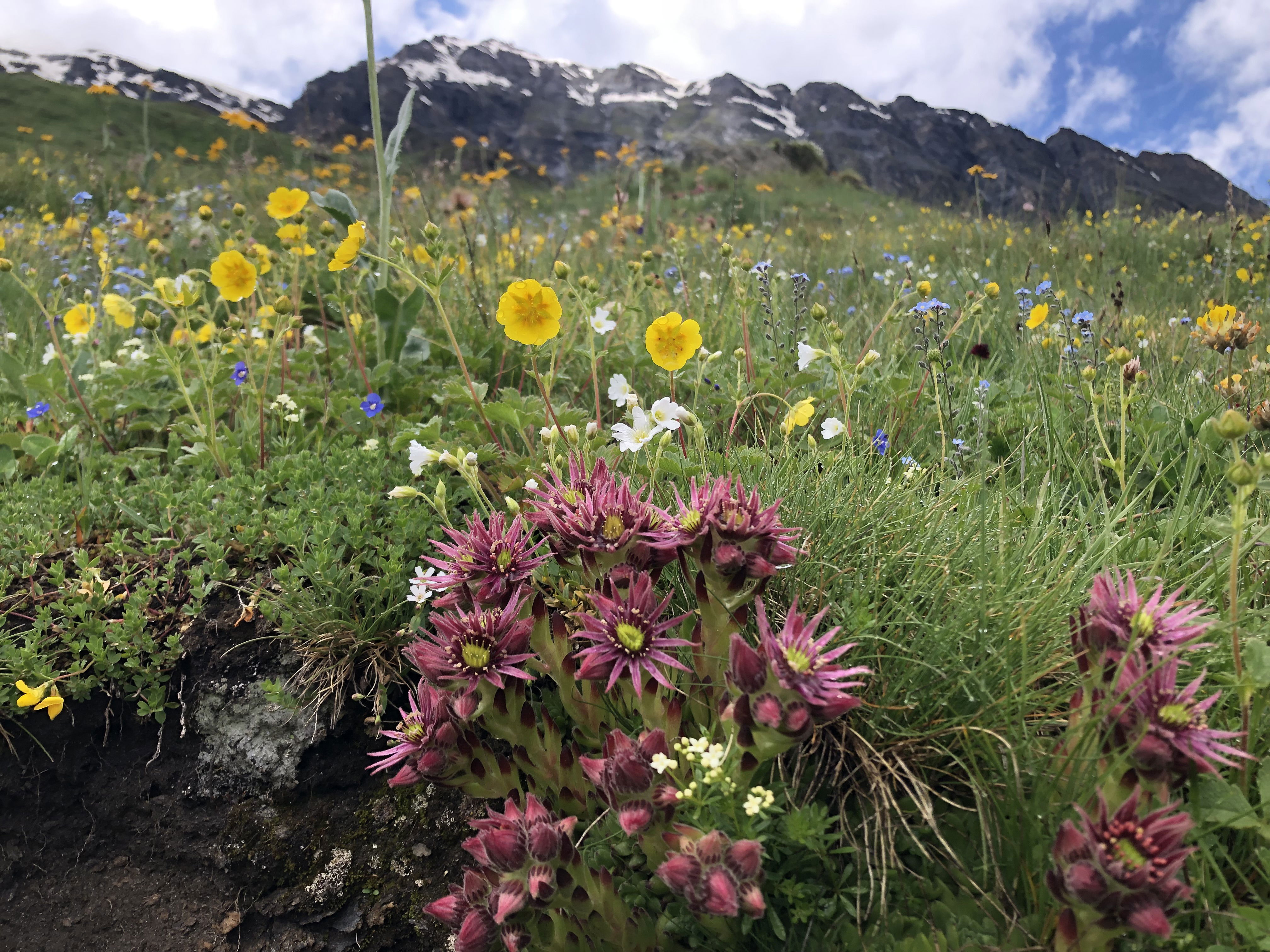 Gemütliche Hochtour