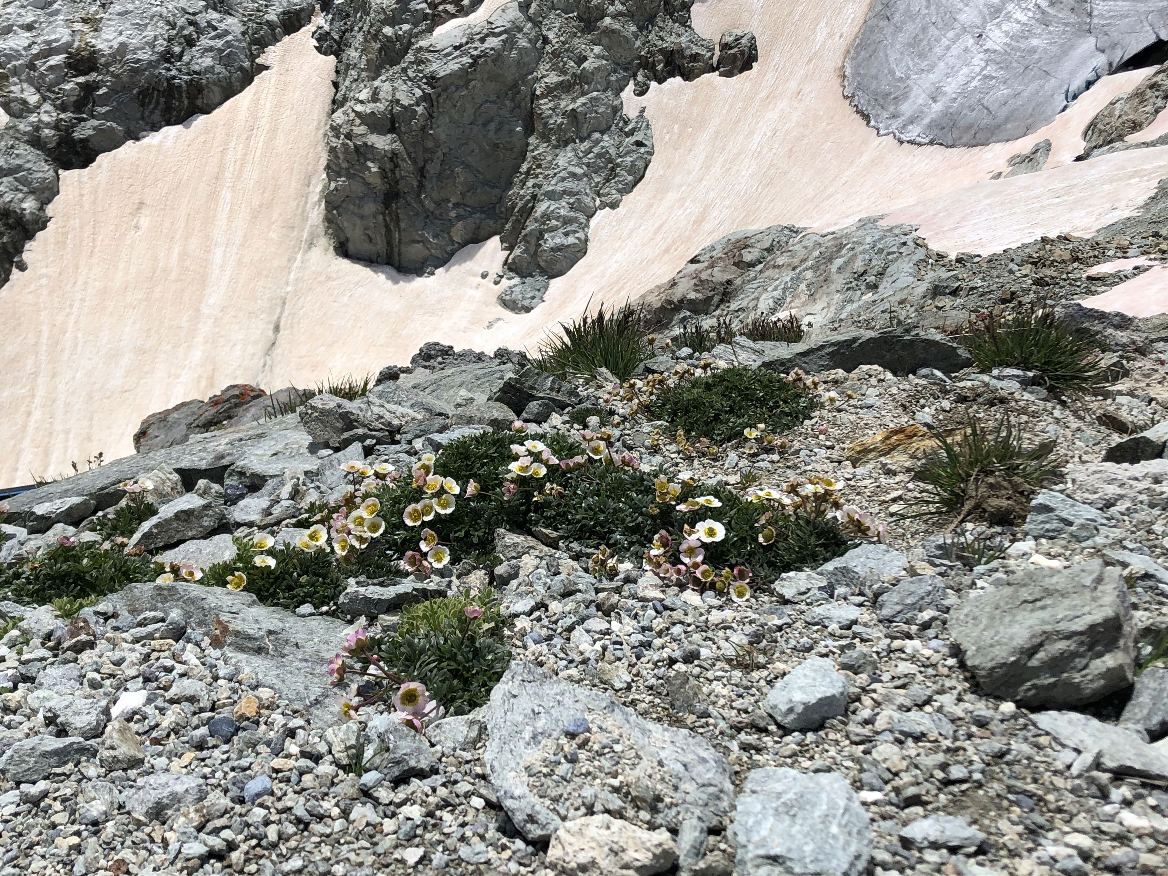 Gemütliche Hochtour