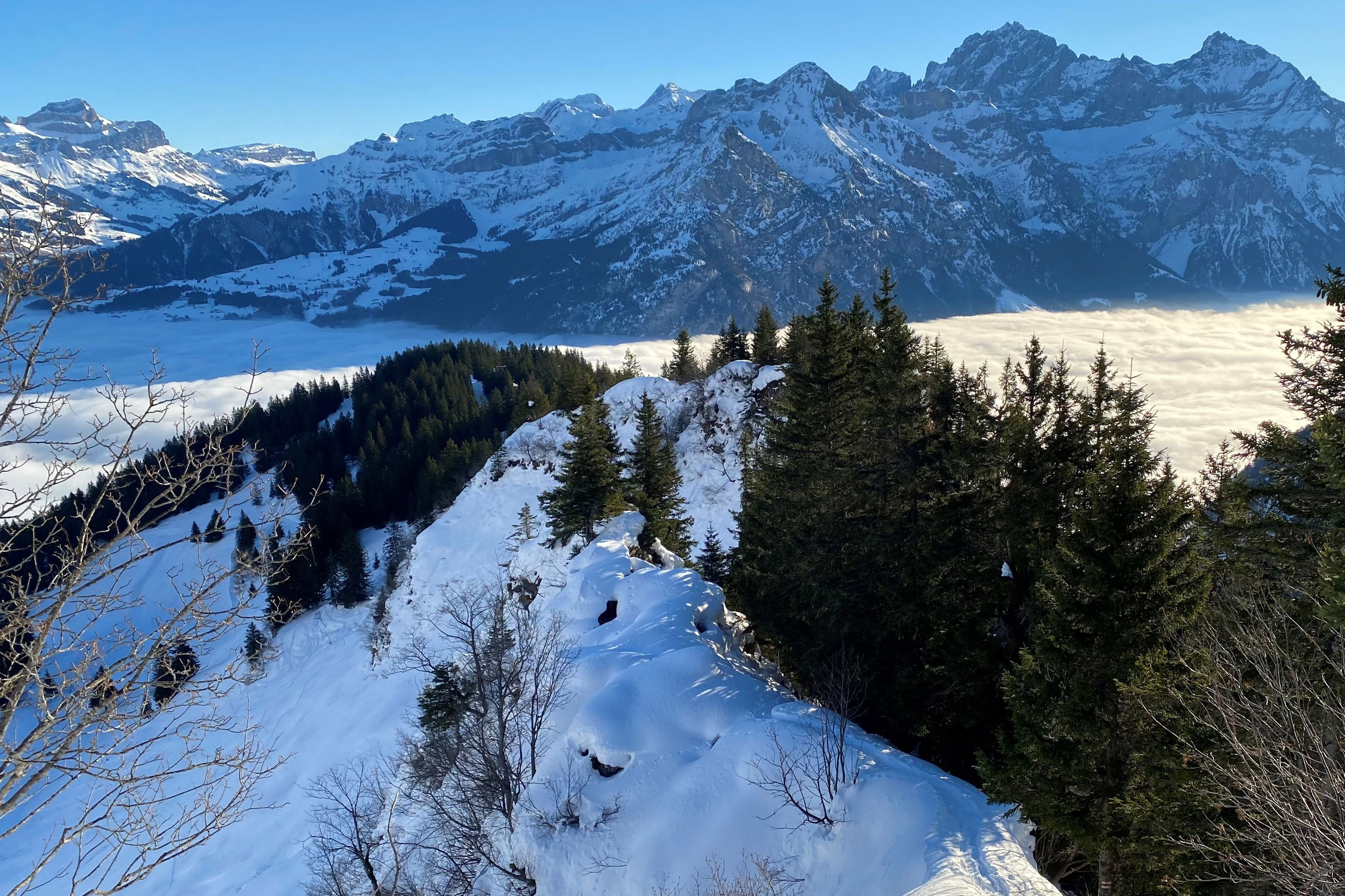 Abwechslungsreiche Schneeschuhtour zum