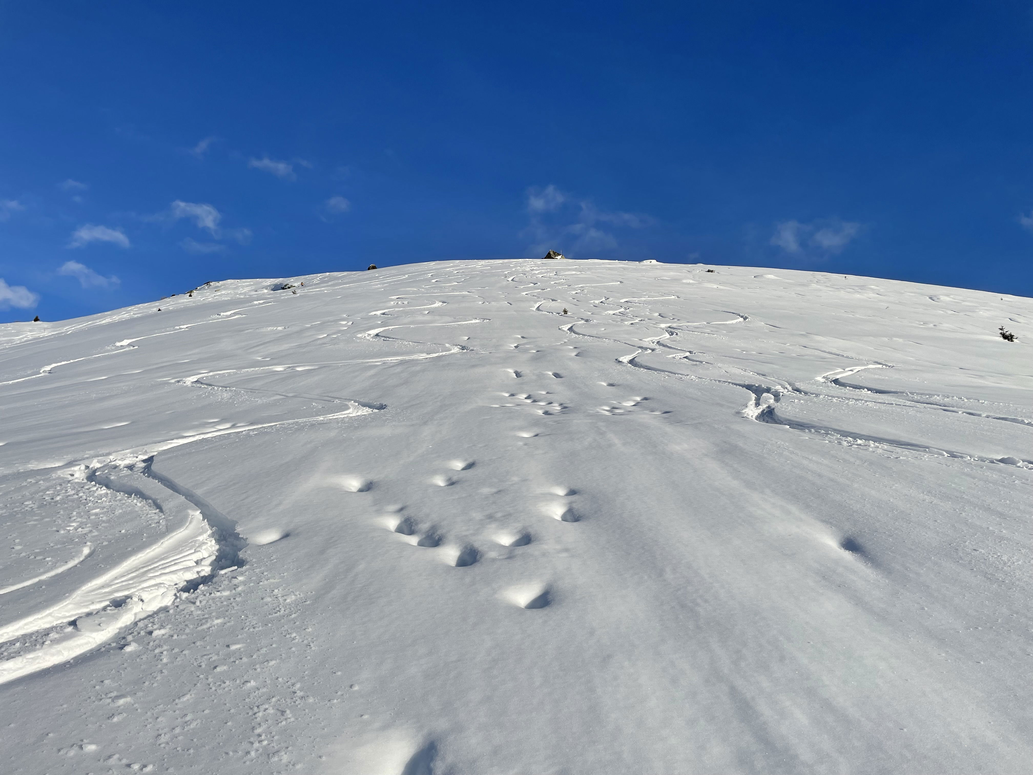 Skitourenwoche