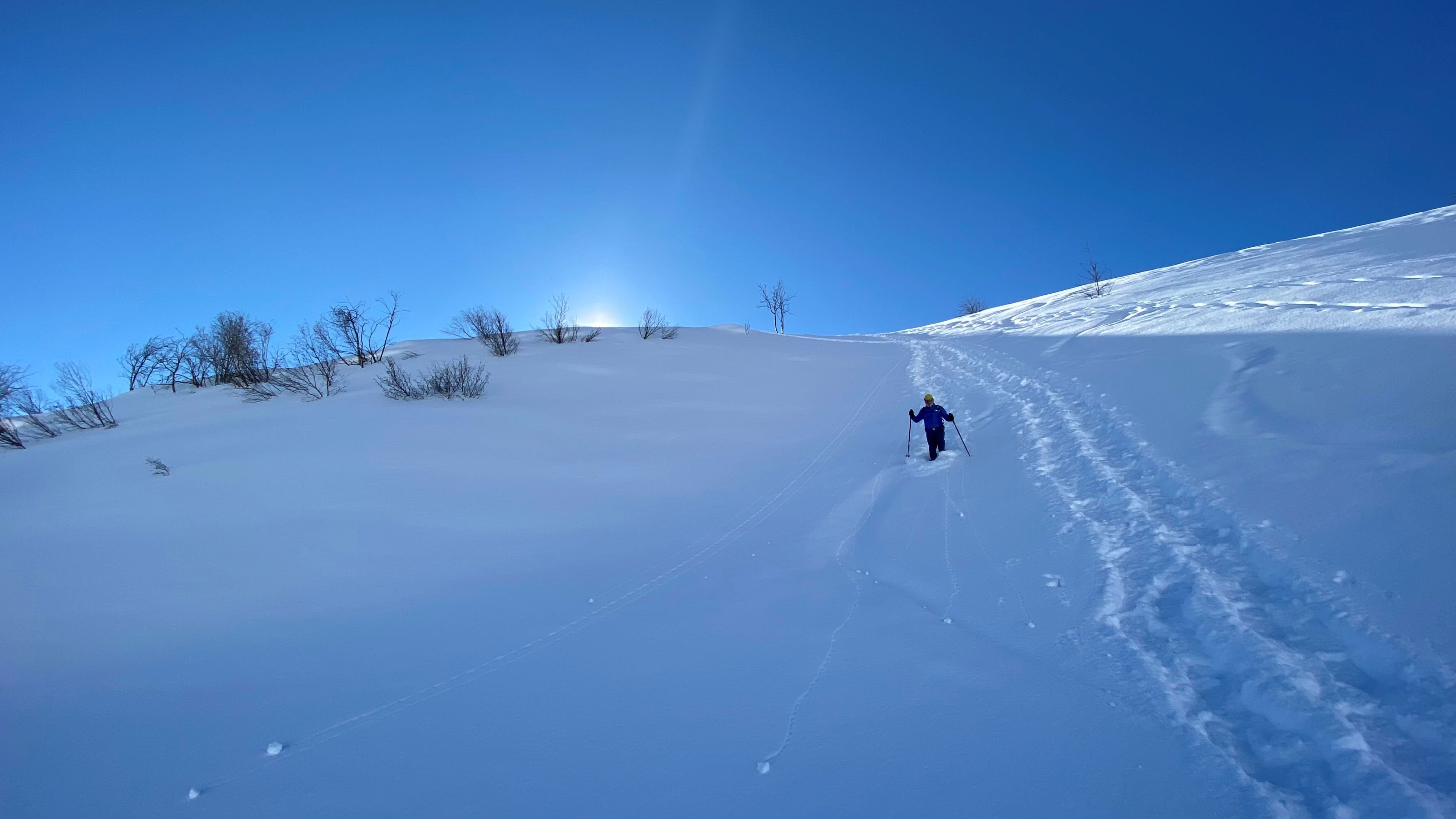 Abwechslungsreiche Schneeschuhtour zum