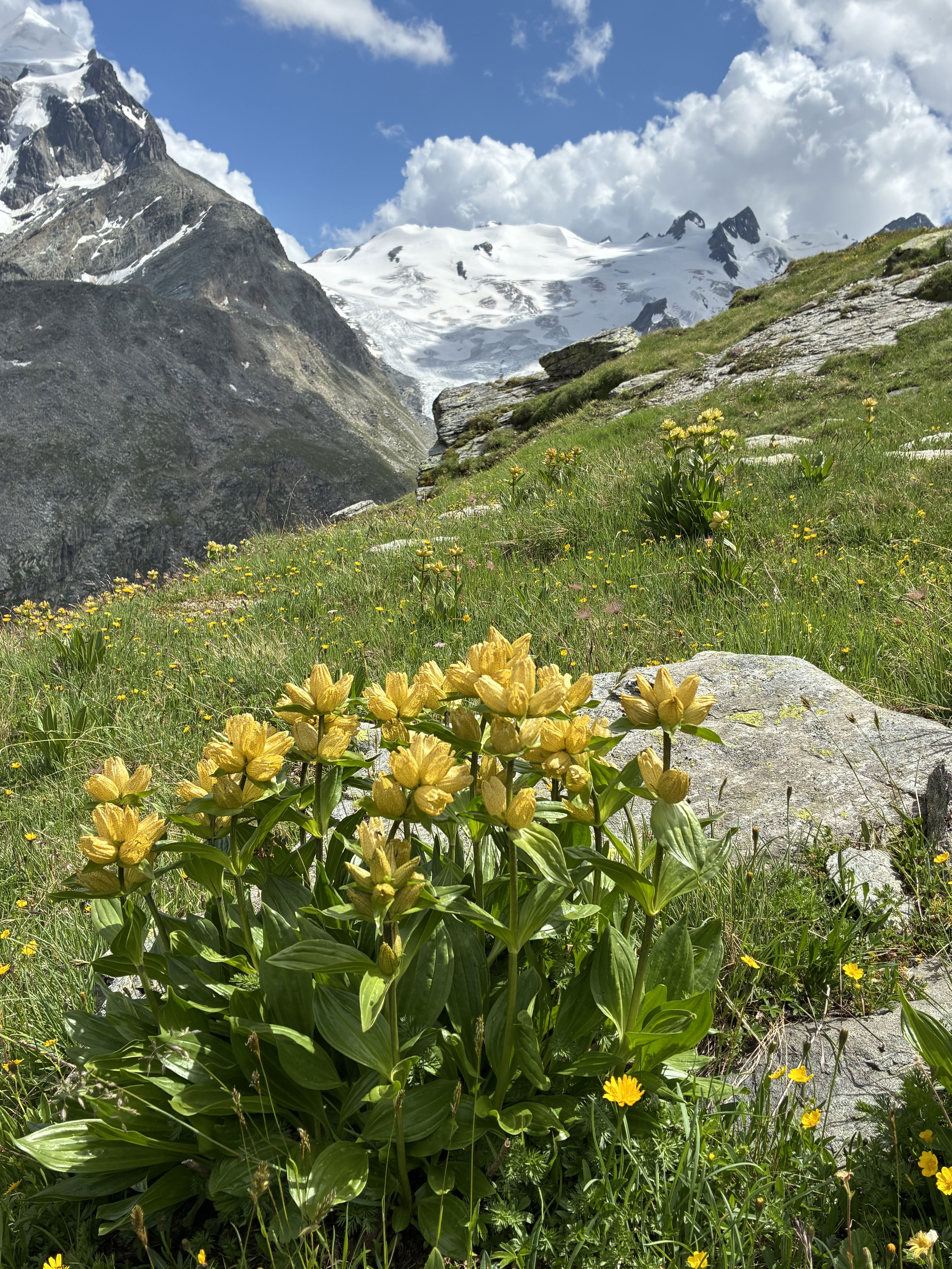 Mittelschwere Hochtour
