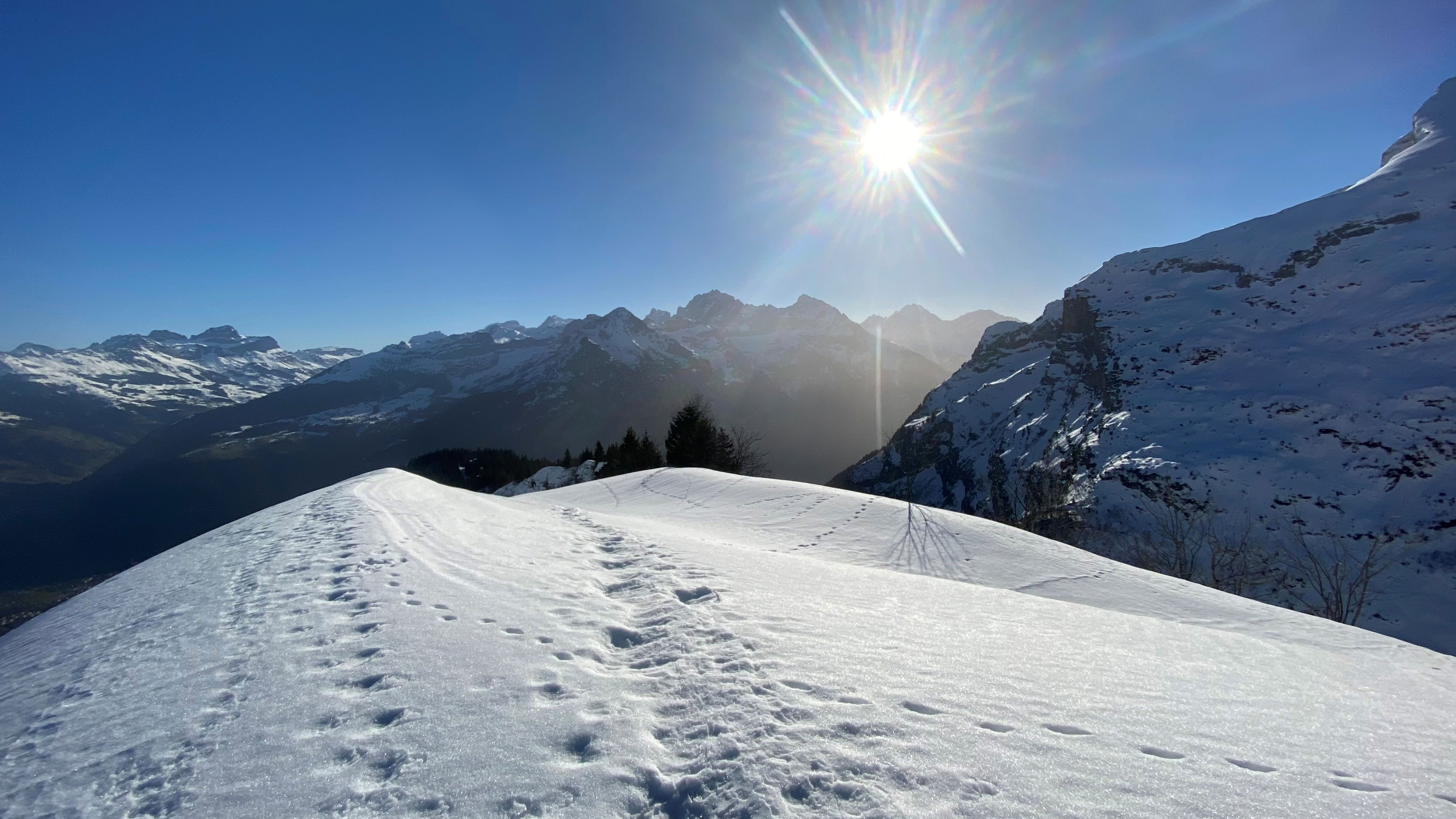 Abwechslungsreiche Schneeschuhtour zum