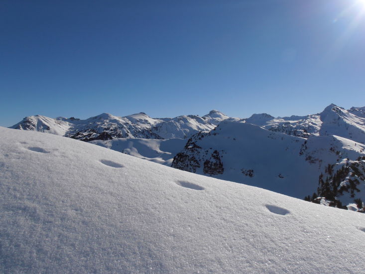 https://bergpunkt.b-cdn.net/imported_user_gallery/20130127-131345-z315.jpg
