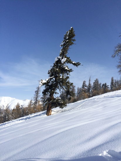 Skitourenwoche