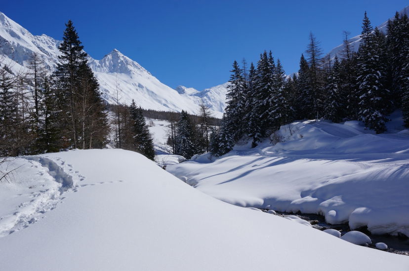 Skitourenwoche