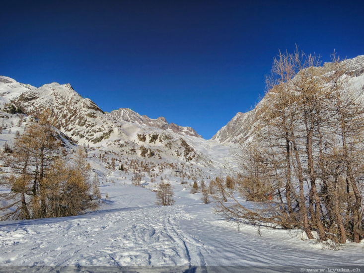Skisafari