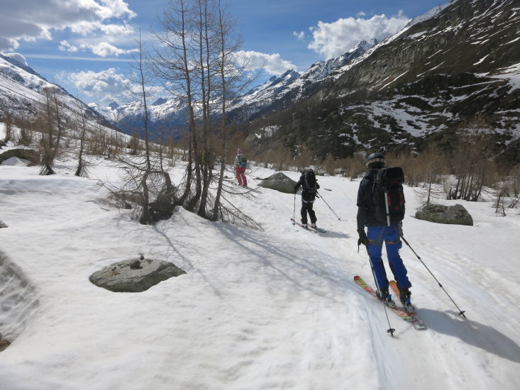 Skisafari