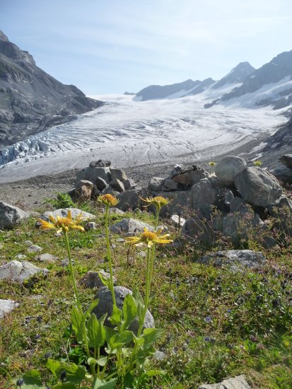 Gletscherwanderwoche