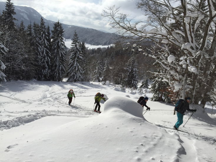 https://bergpunkt.b-cdn.net/imported_user_gallery/20150208-235426-z497.jpg