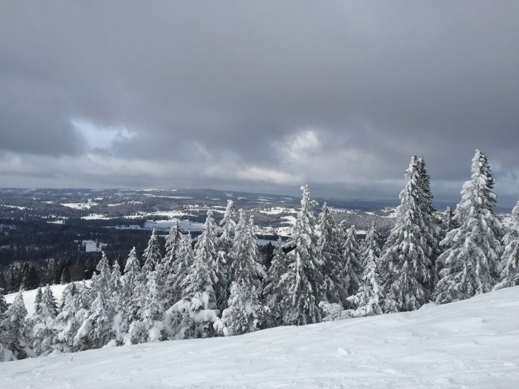 https://bergpunkt.b-cdn.net/imported_user_gallery/20150208-235431-z718.jpg