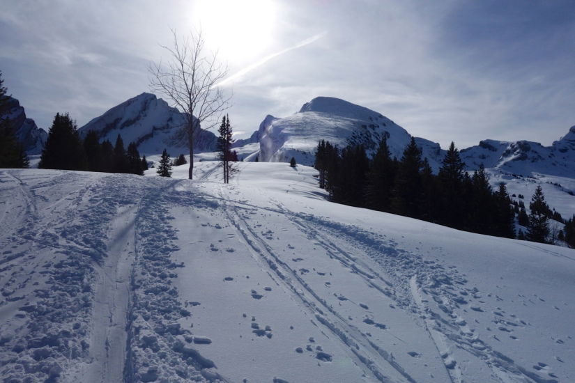 https://bergpunkt.b-cdn.net/imported_user_gallery/20160207-182227-z110.jpg