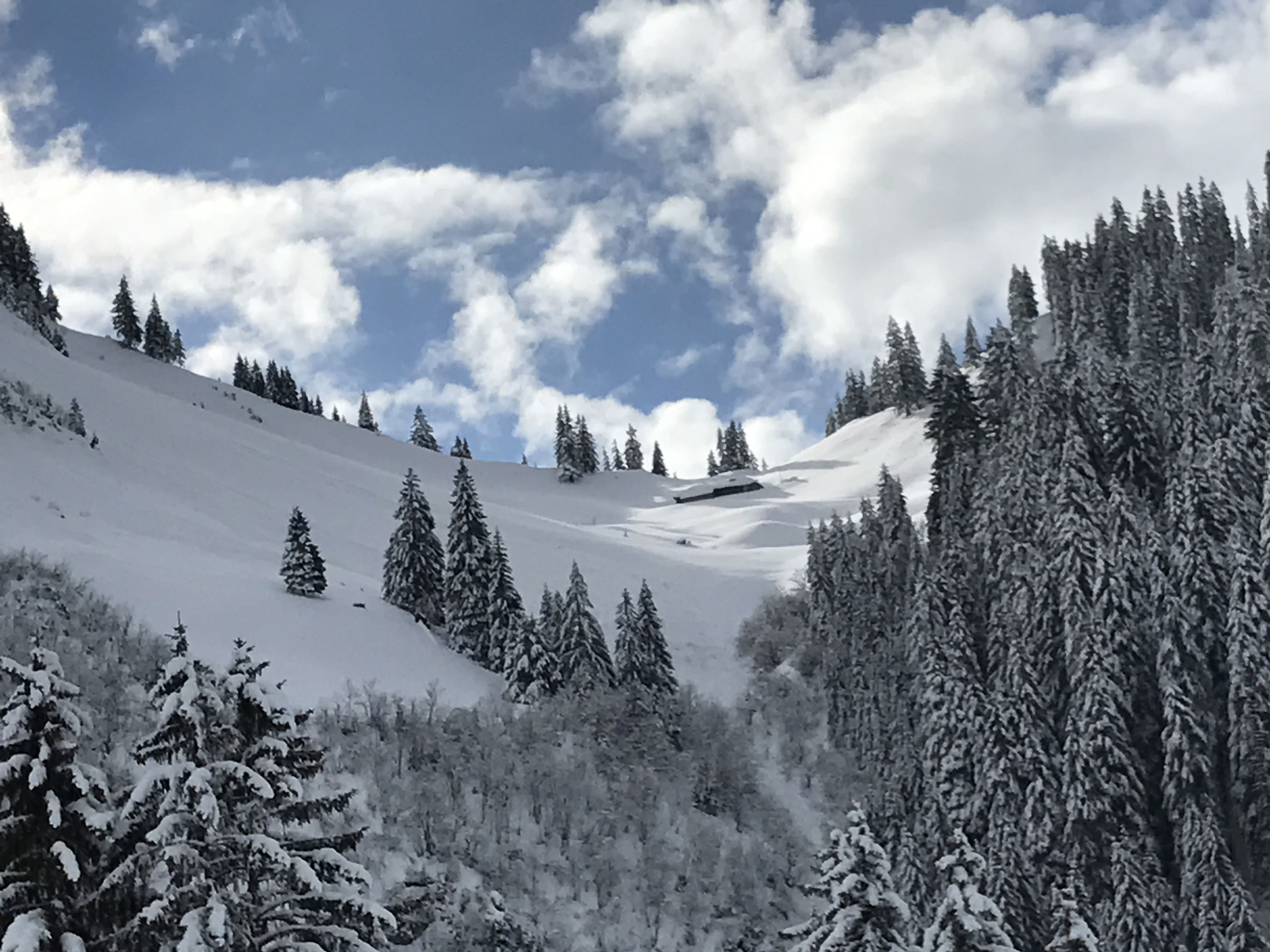 https://bergpunkt.b-cdn.net/imported_user_gallery/20170220-105140-z729.jpg