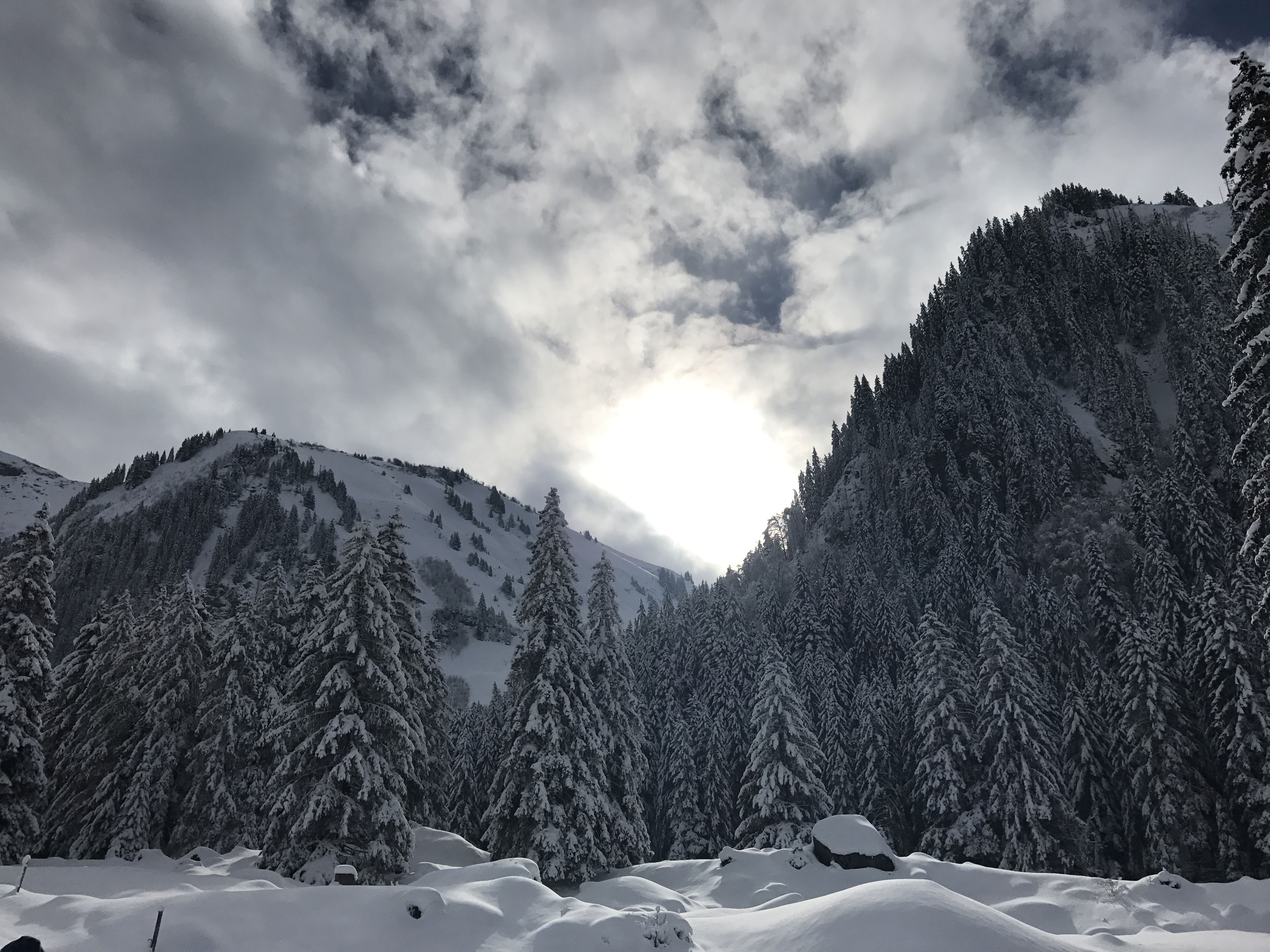 https://bergpunkt.b-cdn.net/imported_user_gallery/20170220-105141-z214.jpg