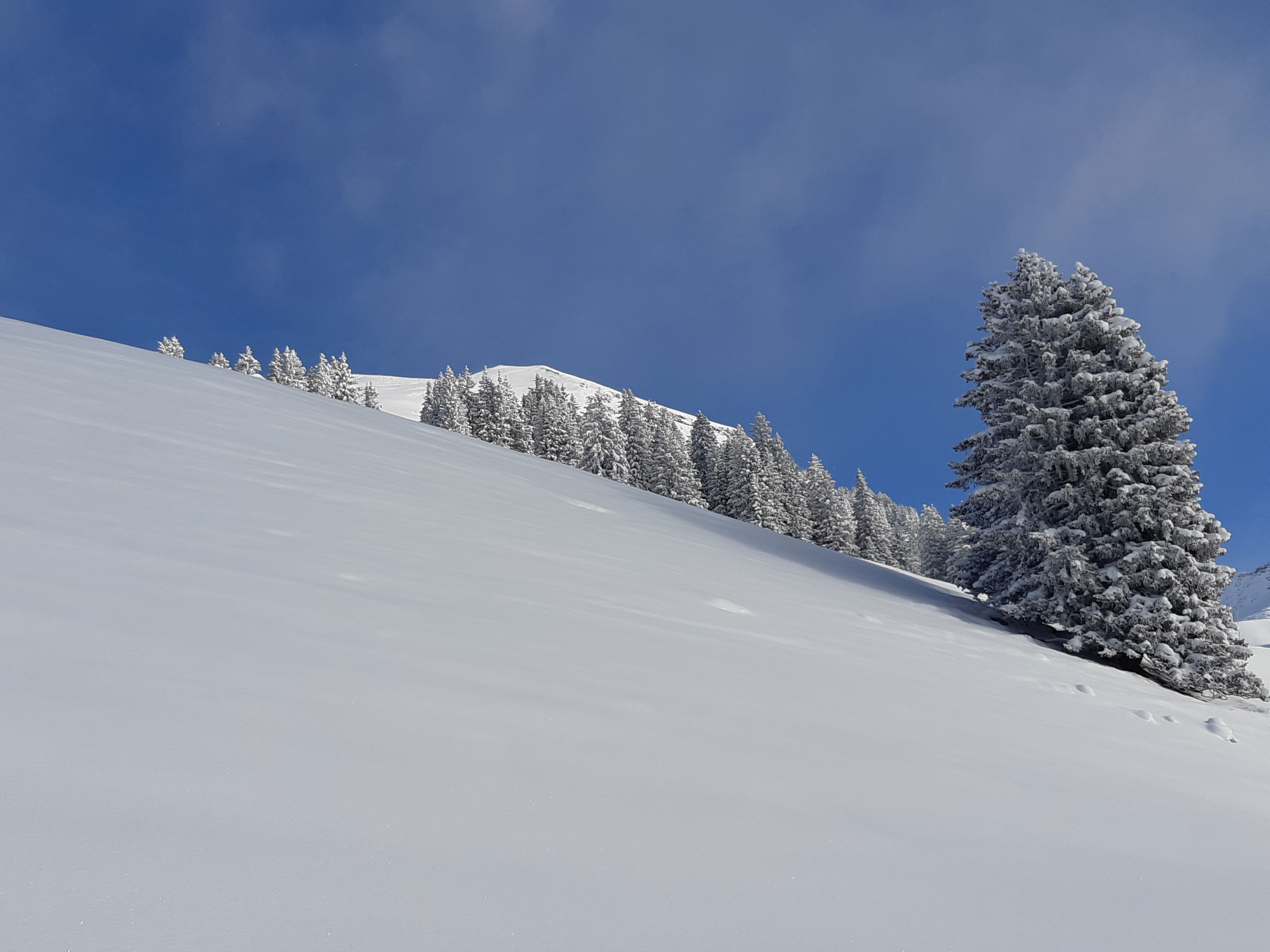 Galmschibe 2425m Diemtigtal