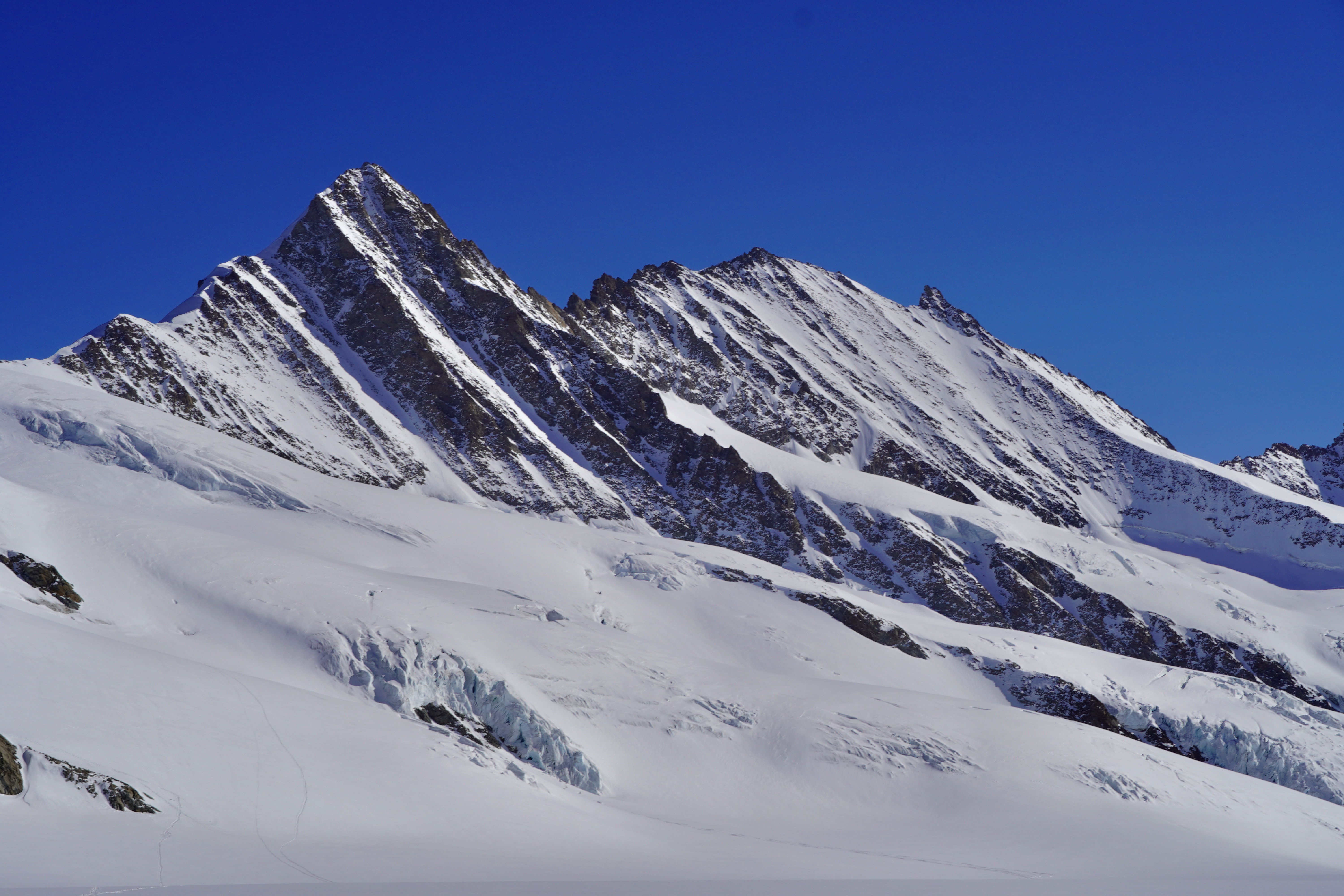 Skitour Walcherhorn 3692m