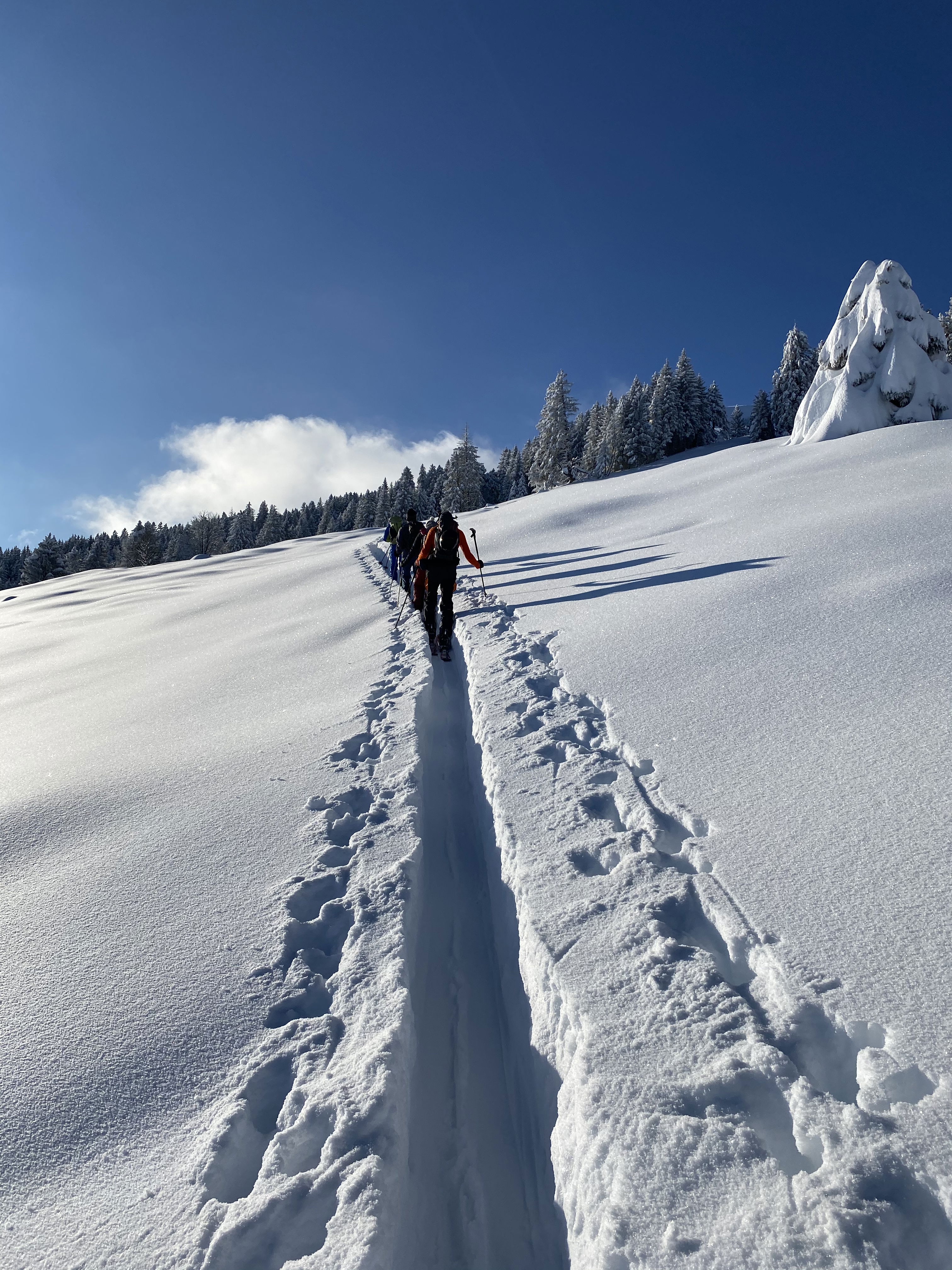 Skitour  Rheintal, 2. Gruppe mit Bergführerin Flurina Görre