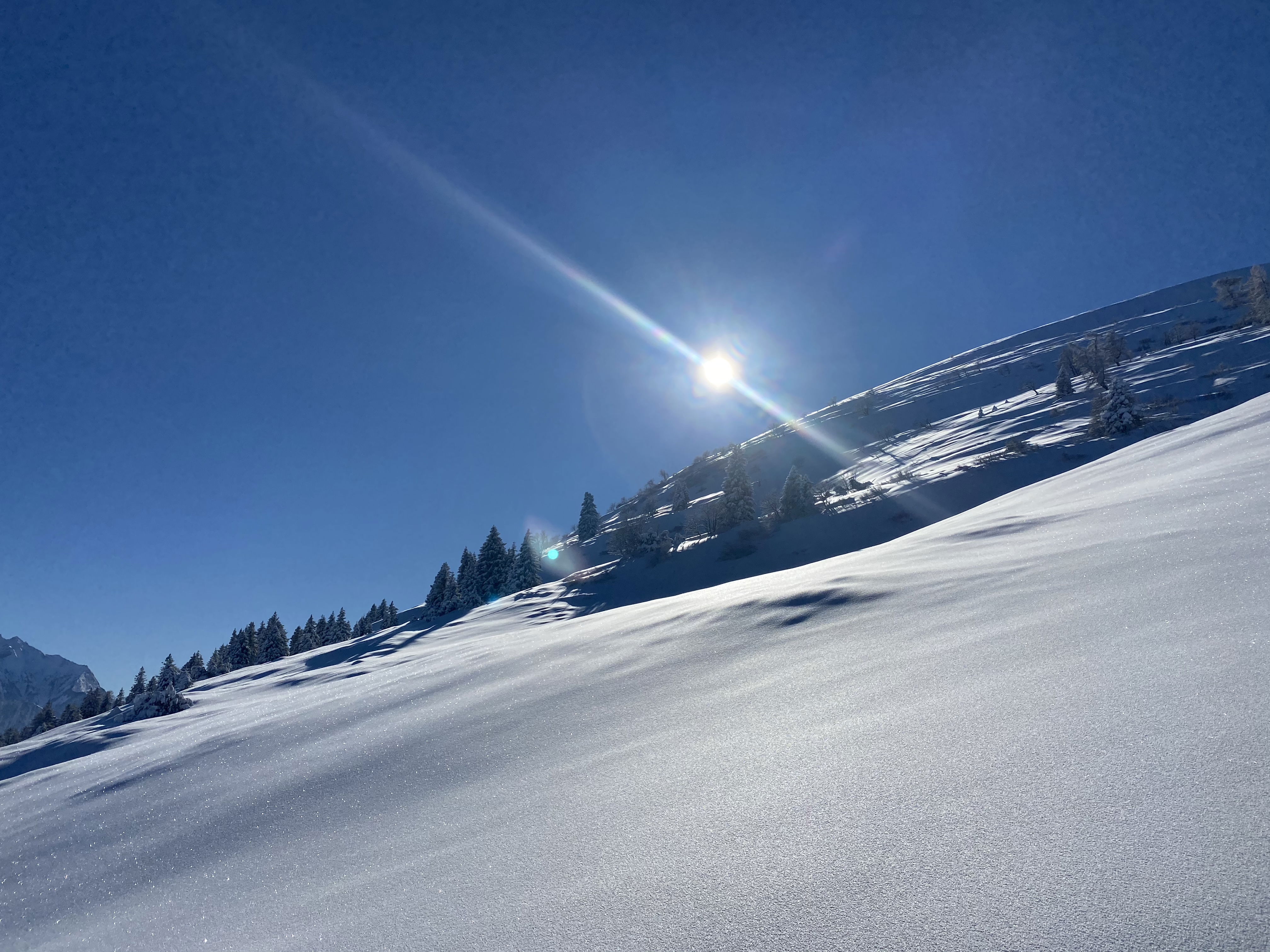 Skitour  Rheintal, 2. Gruppe mit Bergführerin Flurina Görre