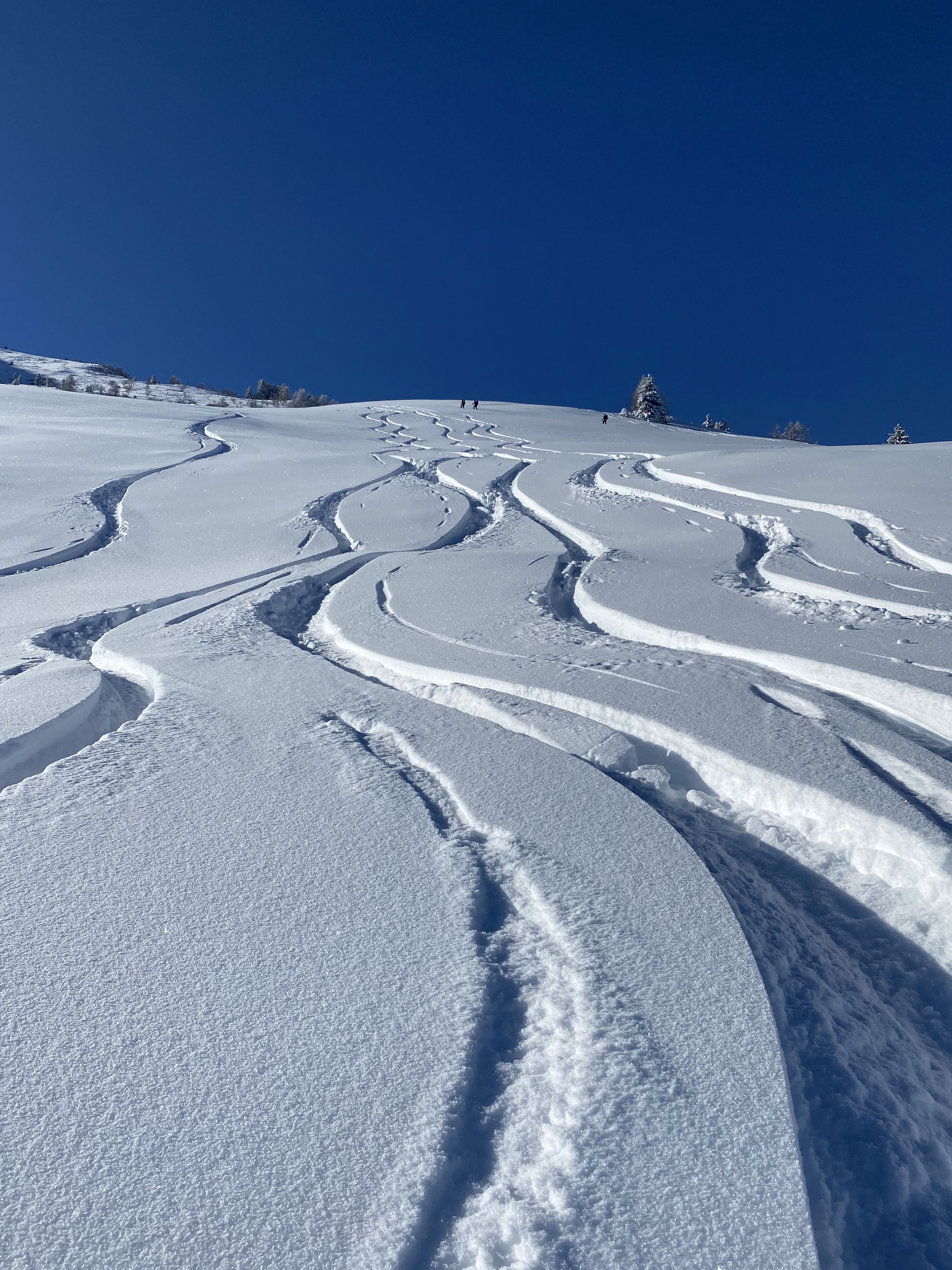 Skitour  Rheintal, 2. Gruppe mit Bergführerin Flurina Görre