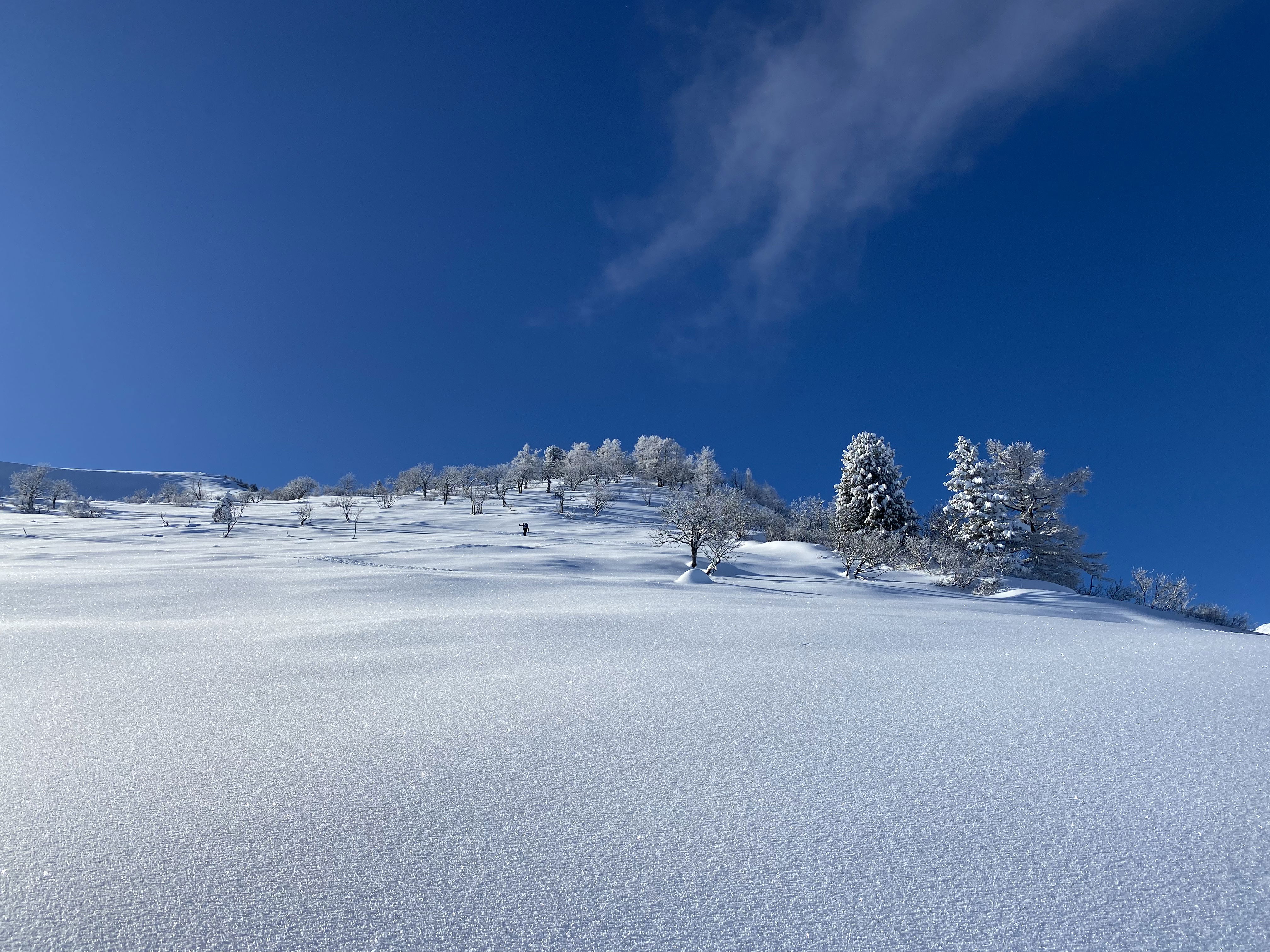 Skitour  Rheintal, 2. Gruppe mit Bergführerin Flurina Görre