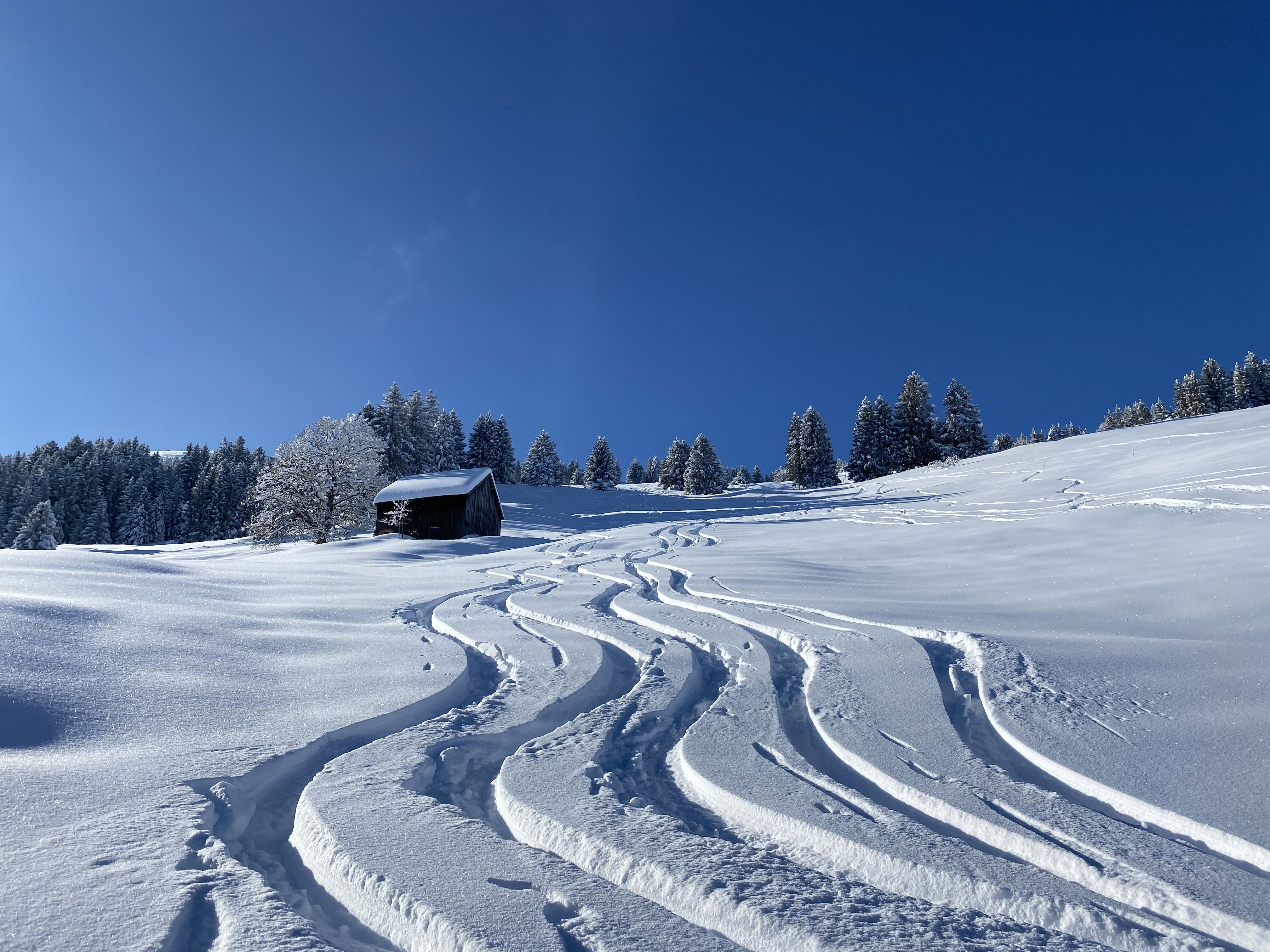 Skitour  Rheintal, 2. Gruppe mit Bergführerin Flurina Görre
