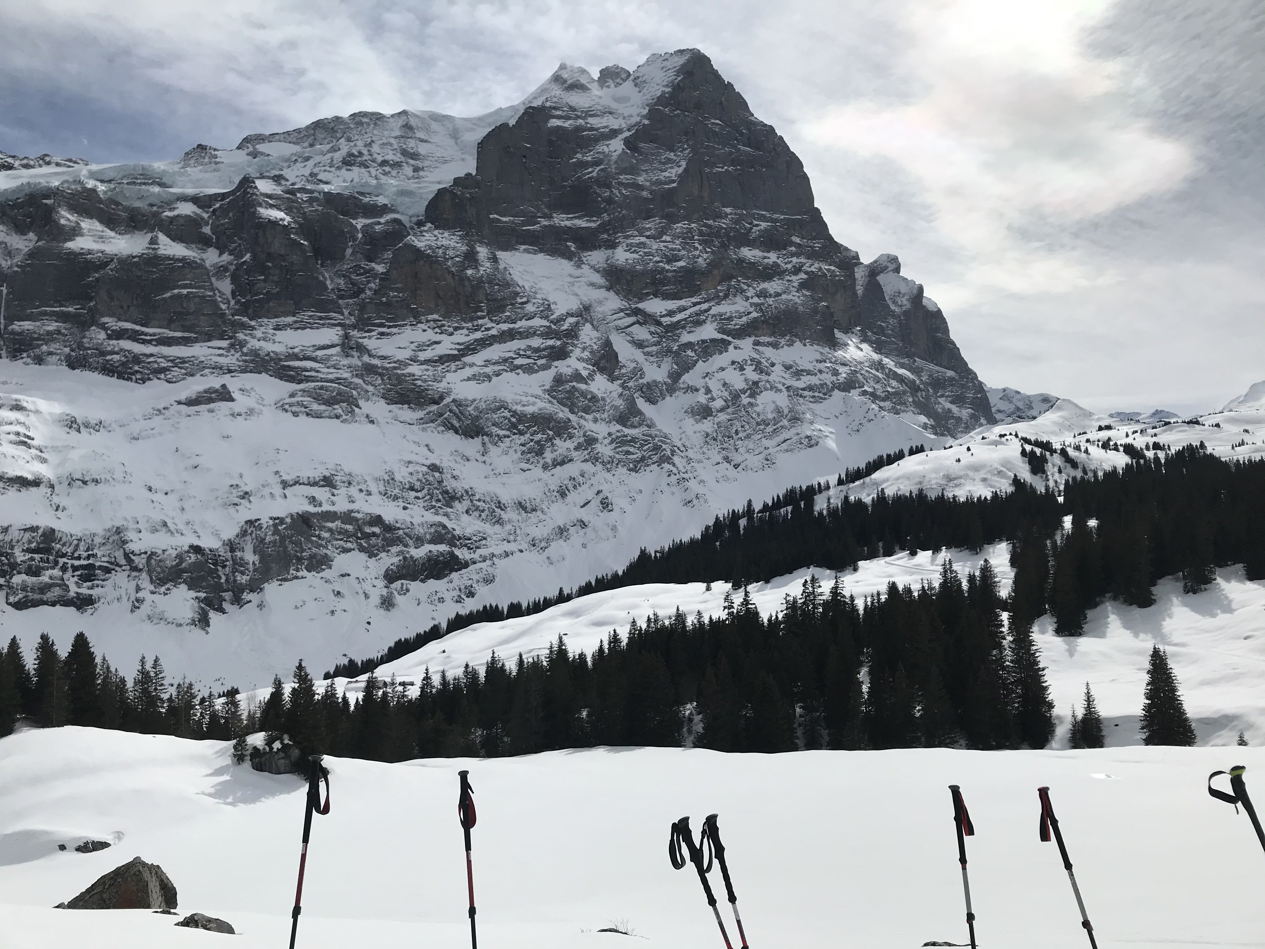 Schnuppertour mit Ski