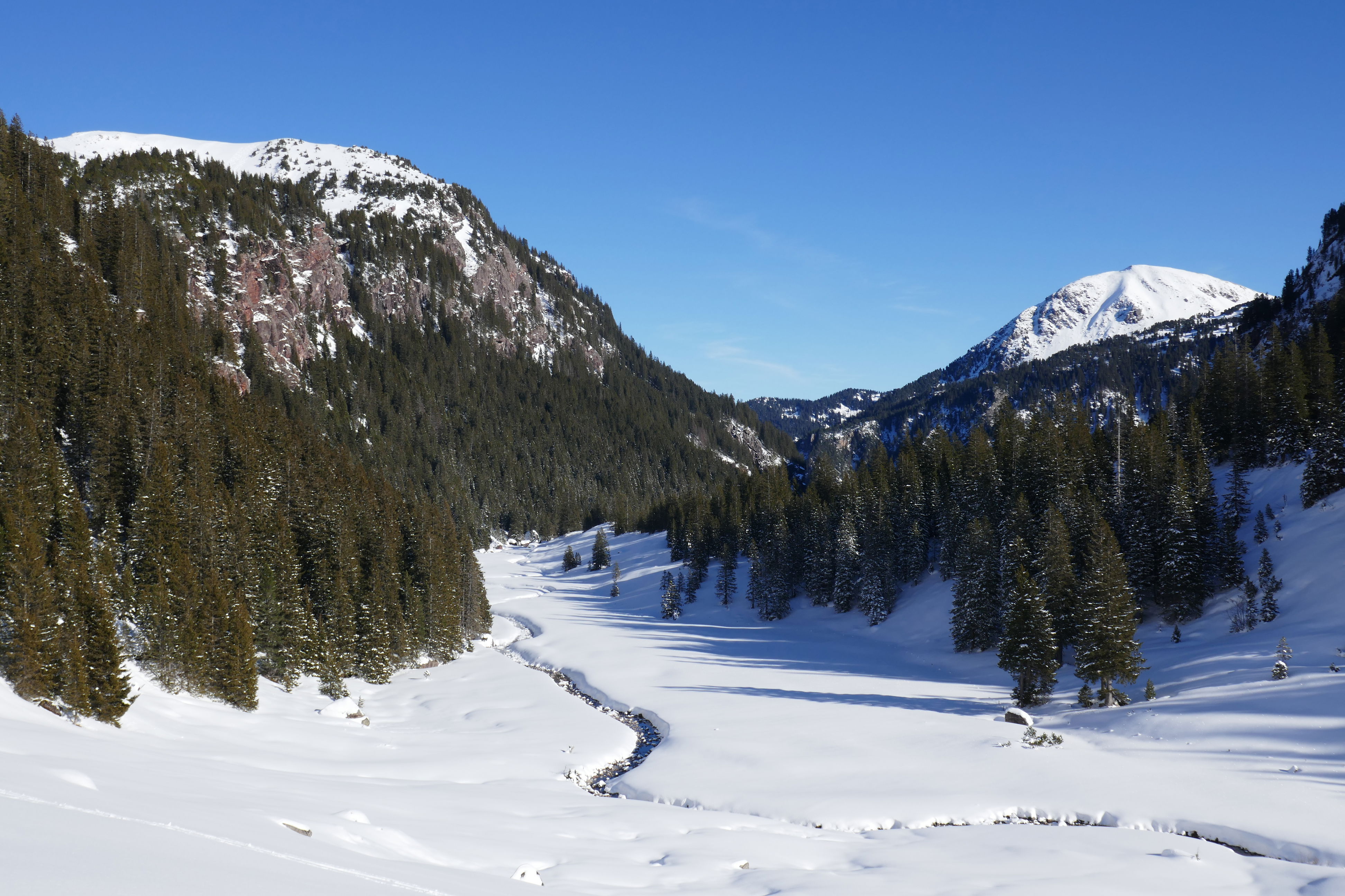 Fronalp-Rotärd-Walensee