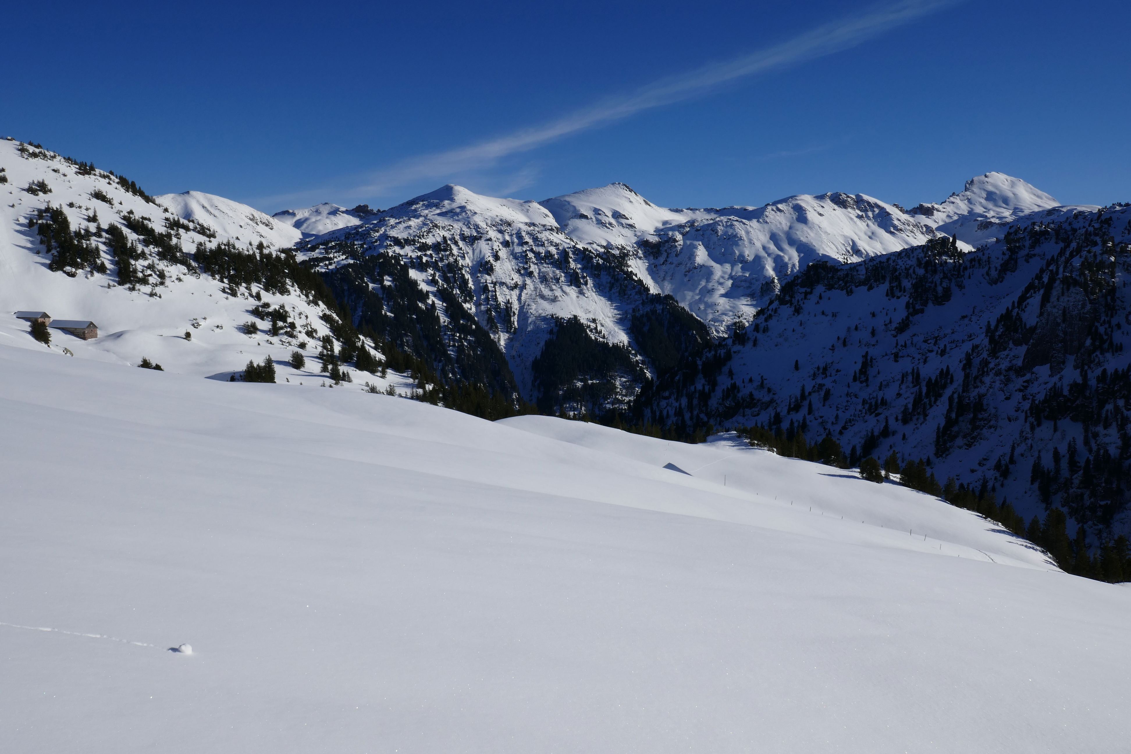 Fronalp-Rotärd-Walensee