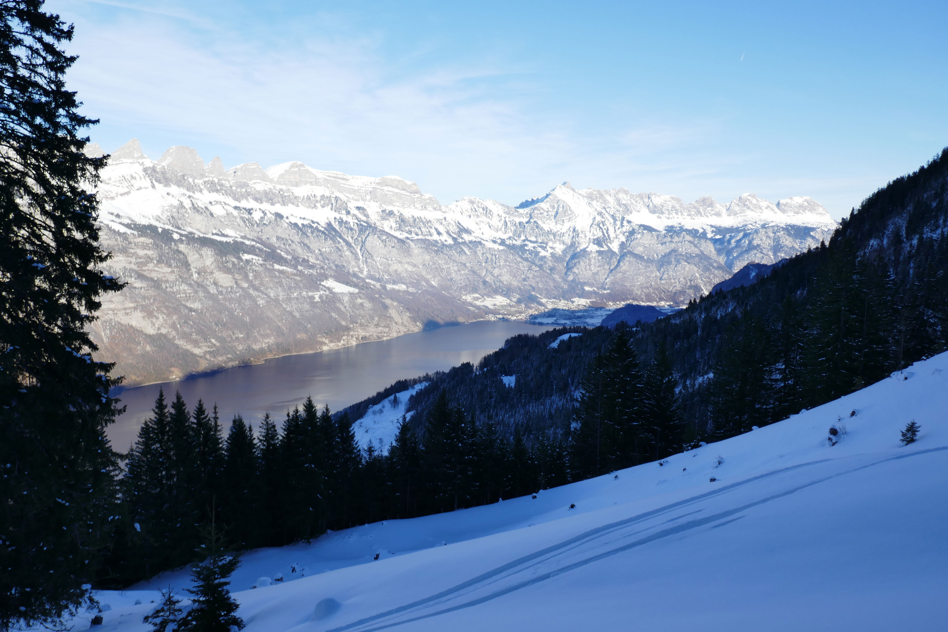 Fronalp-Rotärd-Walensee